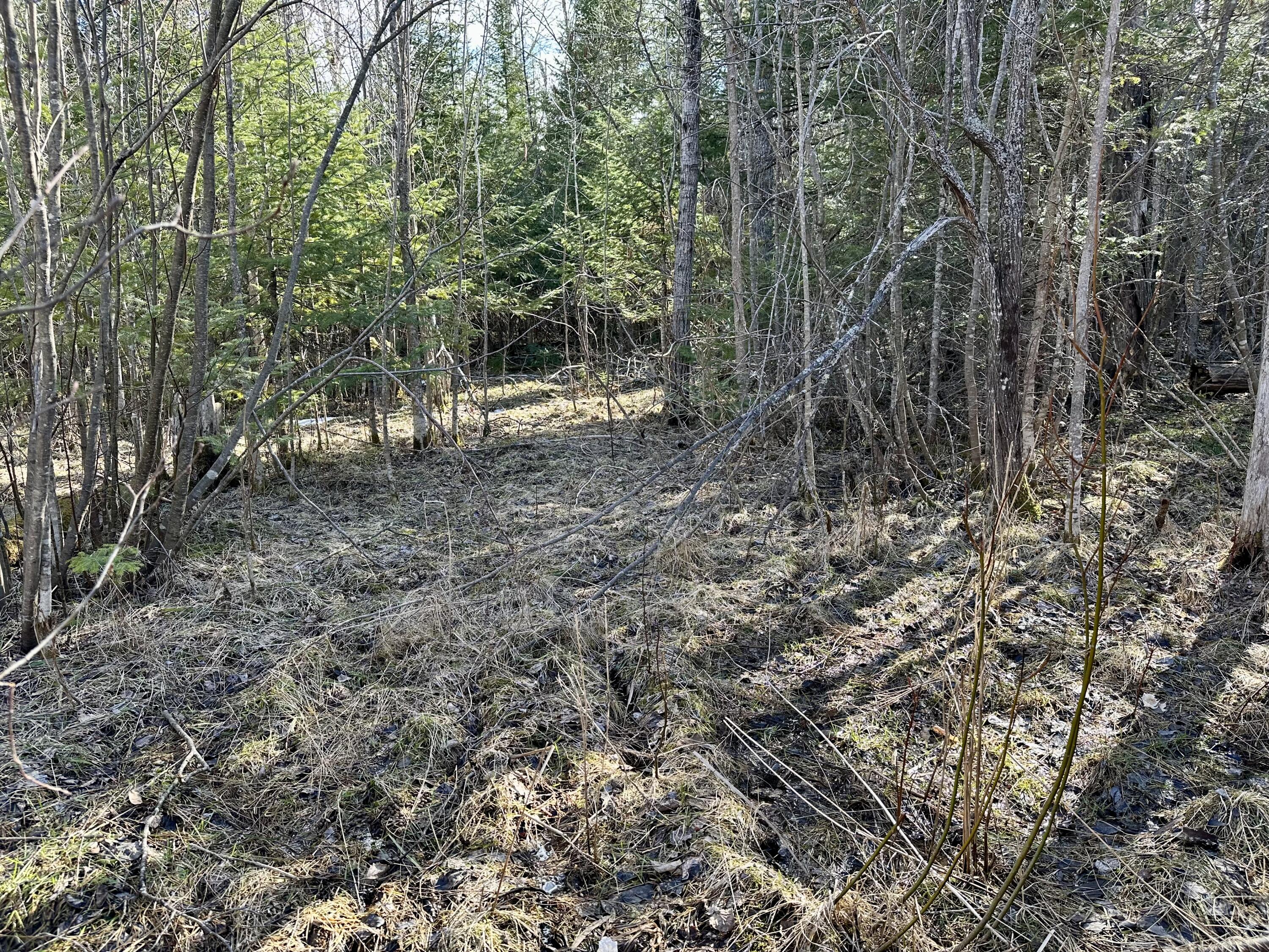 2977 N Black River Road