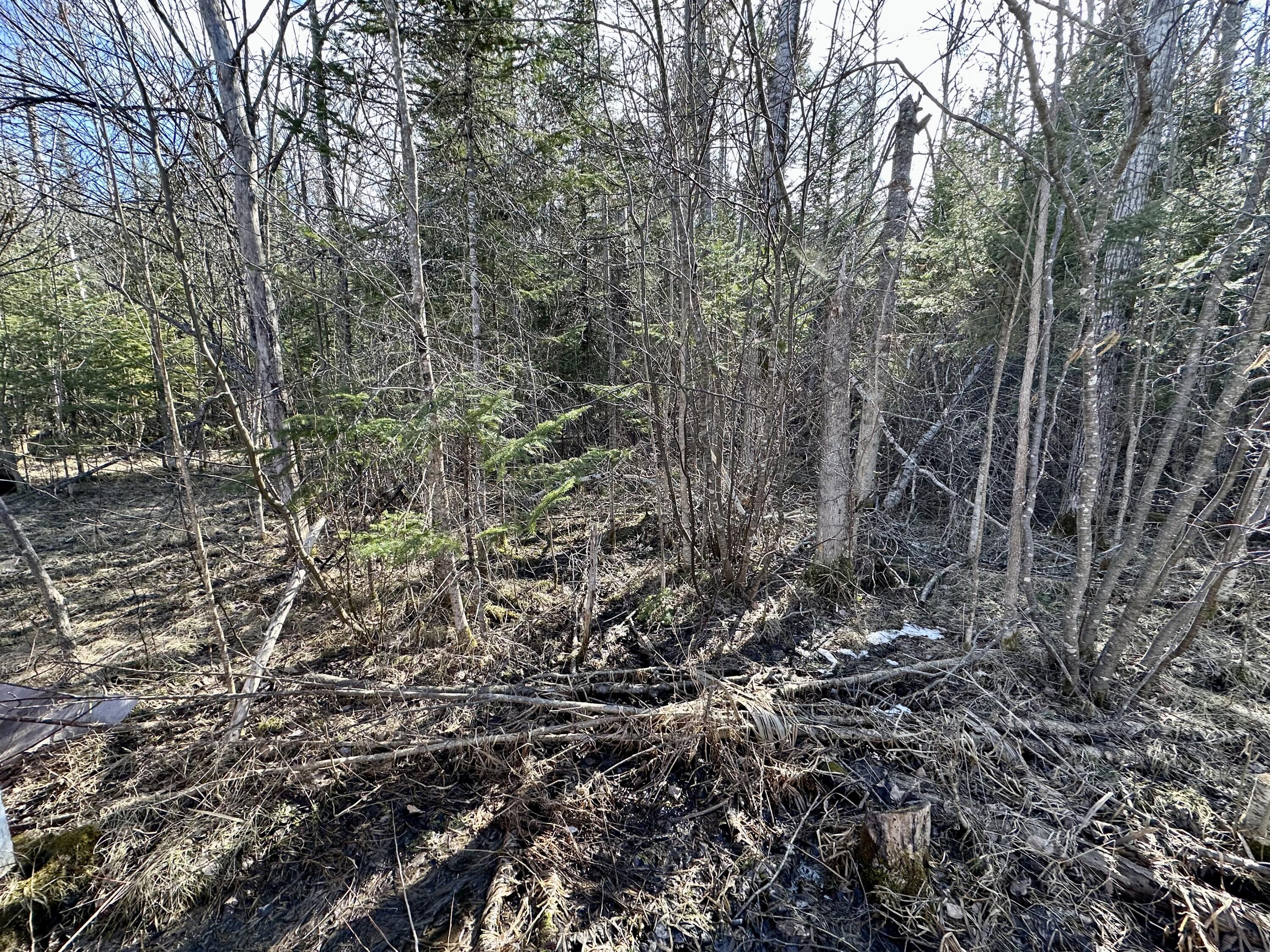 2977 N Black River Road