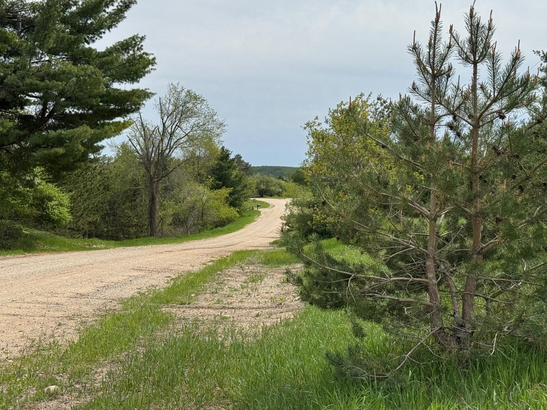 Nichols Road, 40 Acres