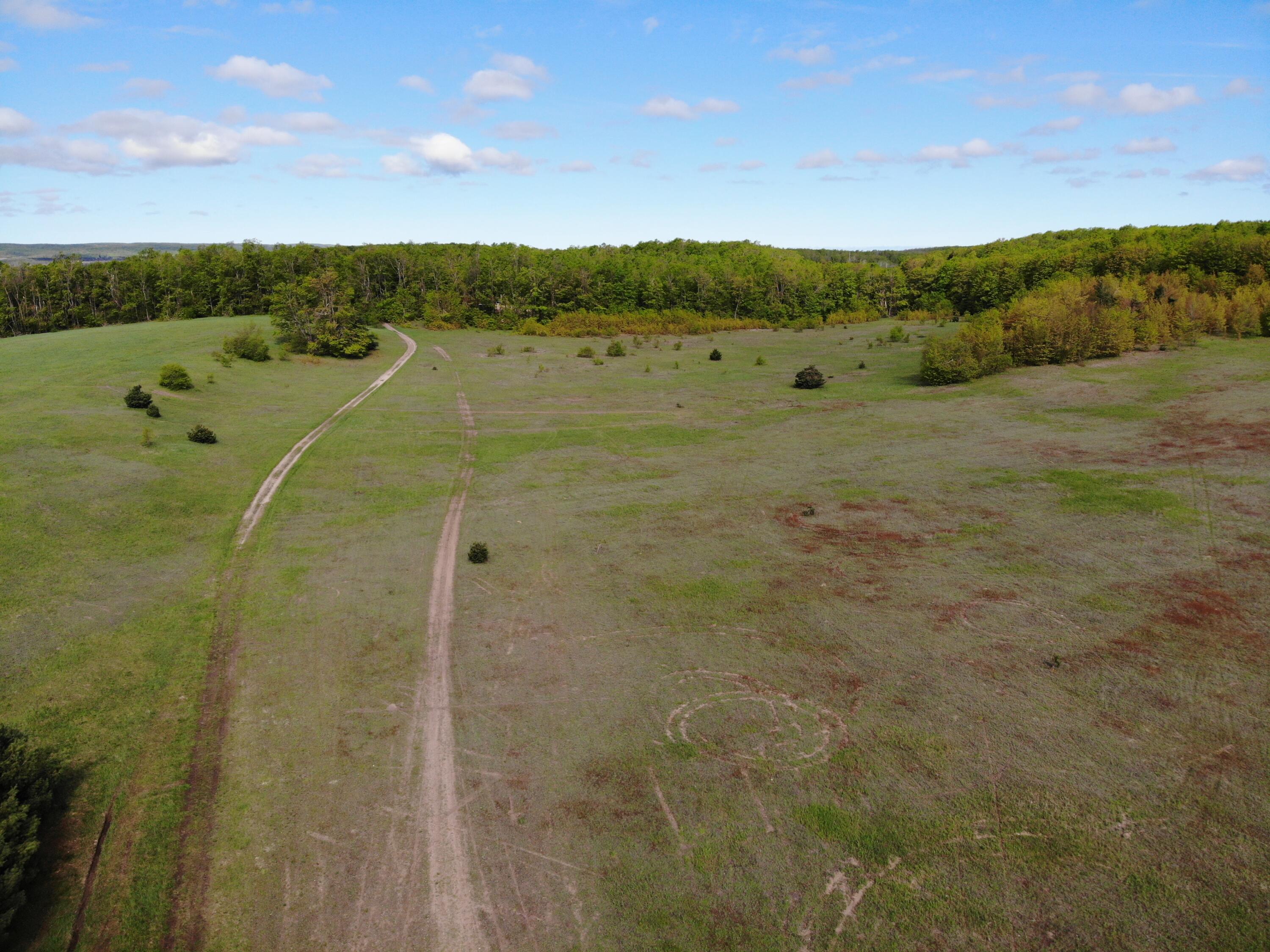 Nichols Road, 40 Acres