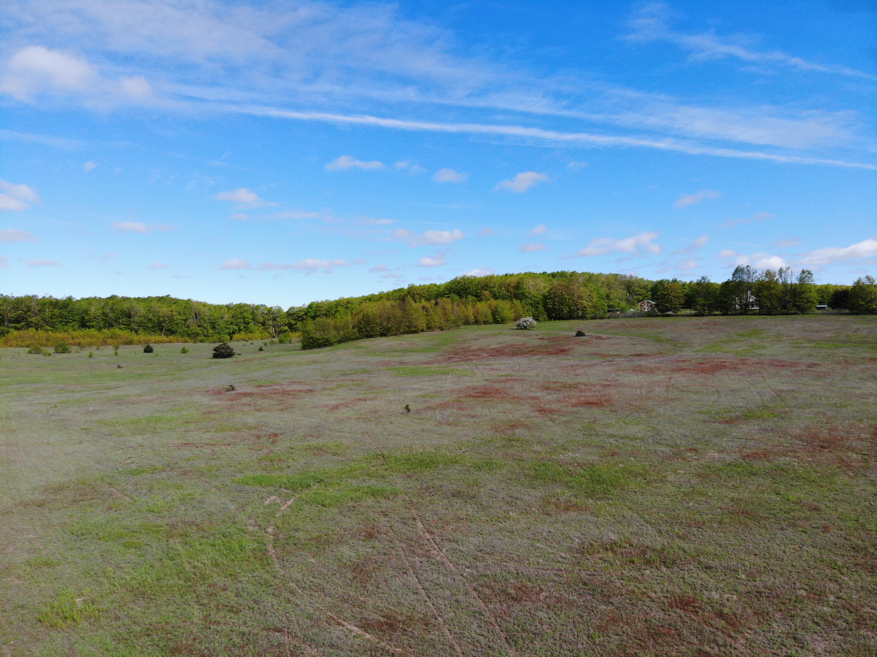 Nichols Road, 40 Acres