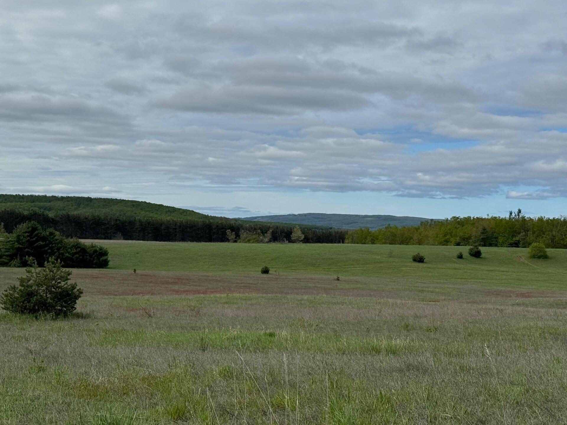 Nichols Road, 40 Acres