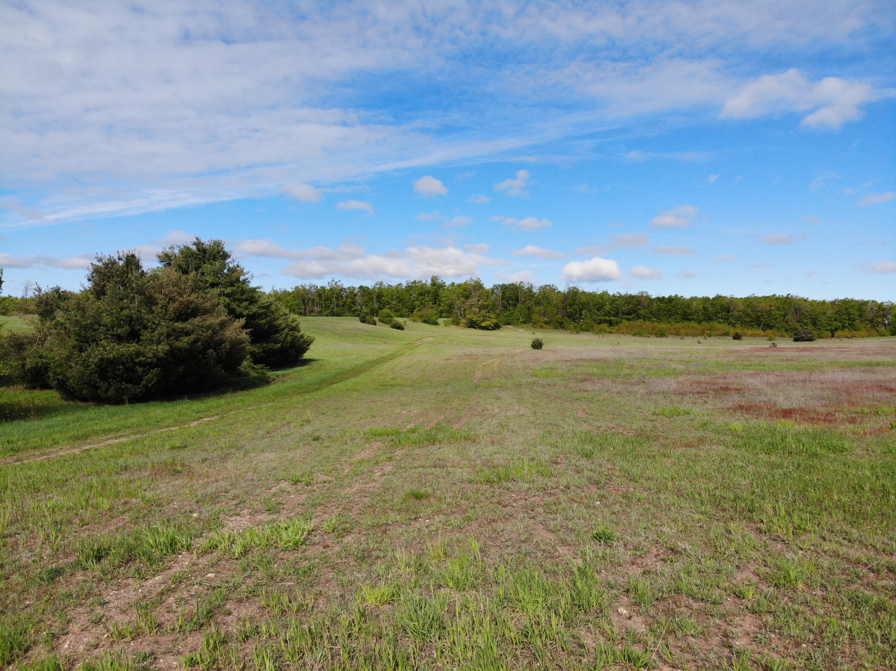 Nichols Road, 40 Acres