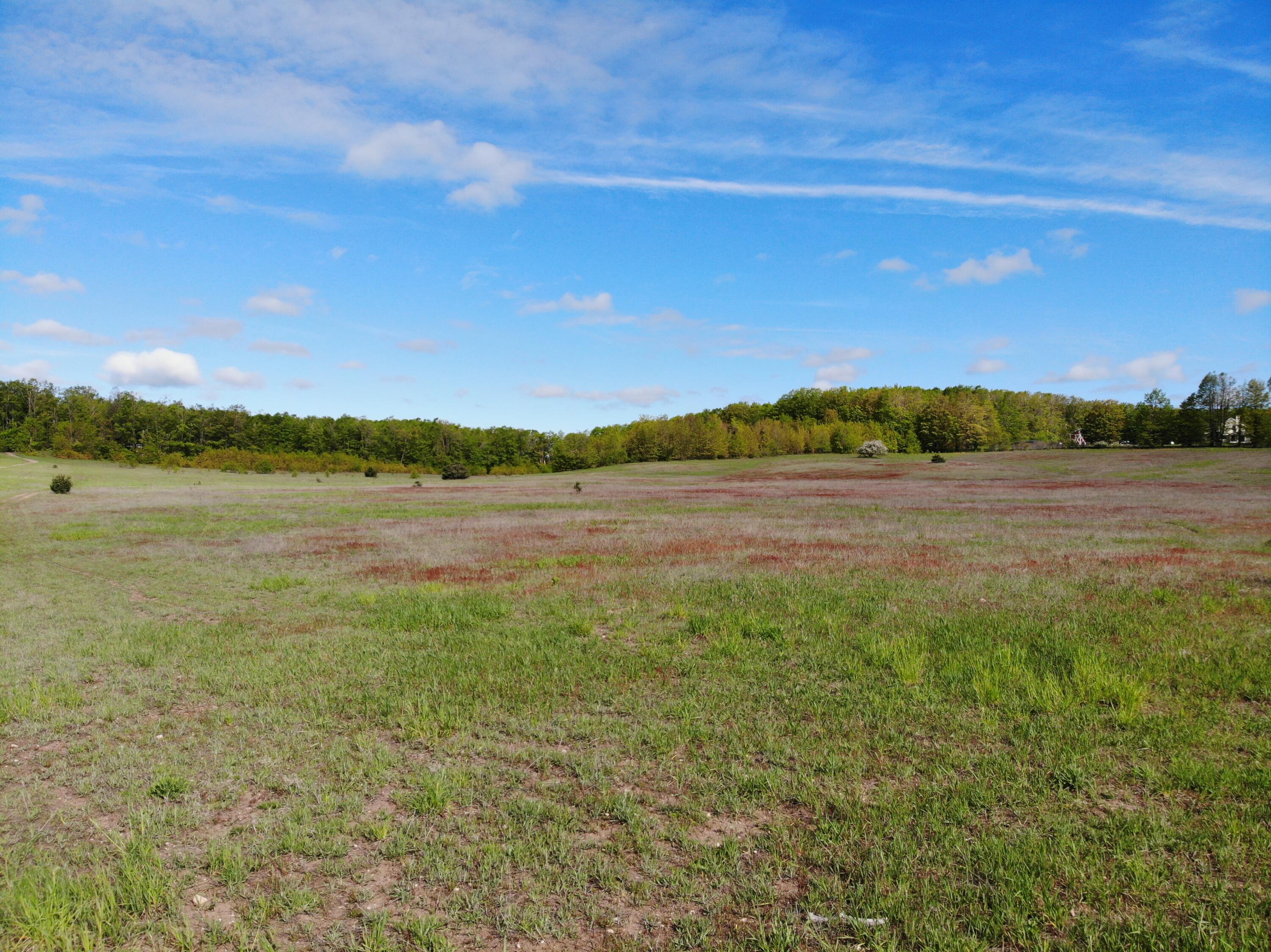 Nichols Road, 40 Acres