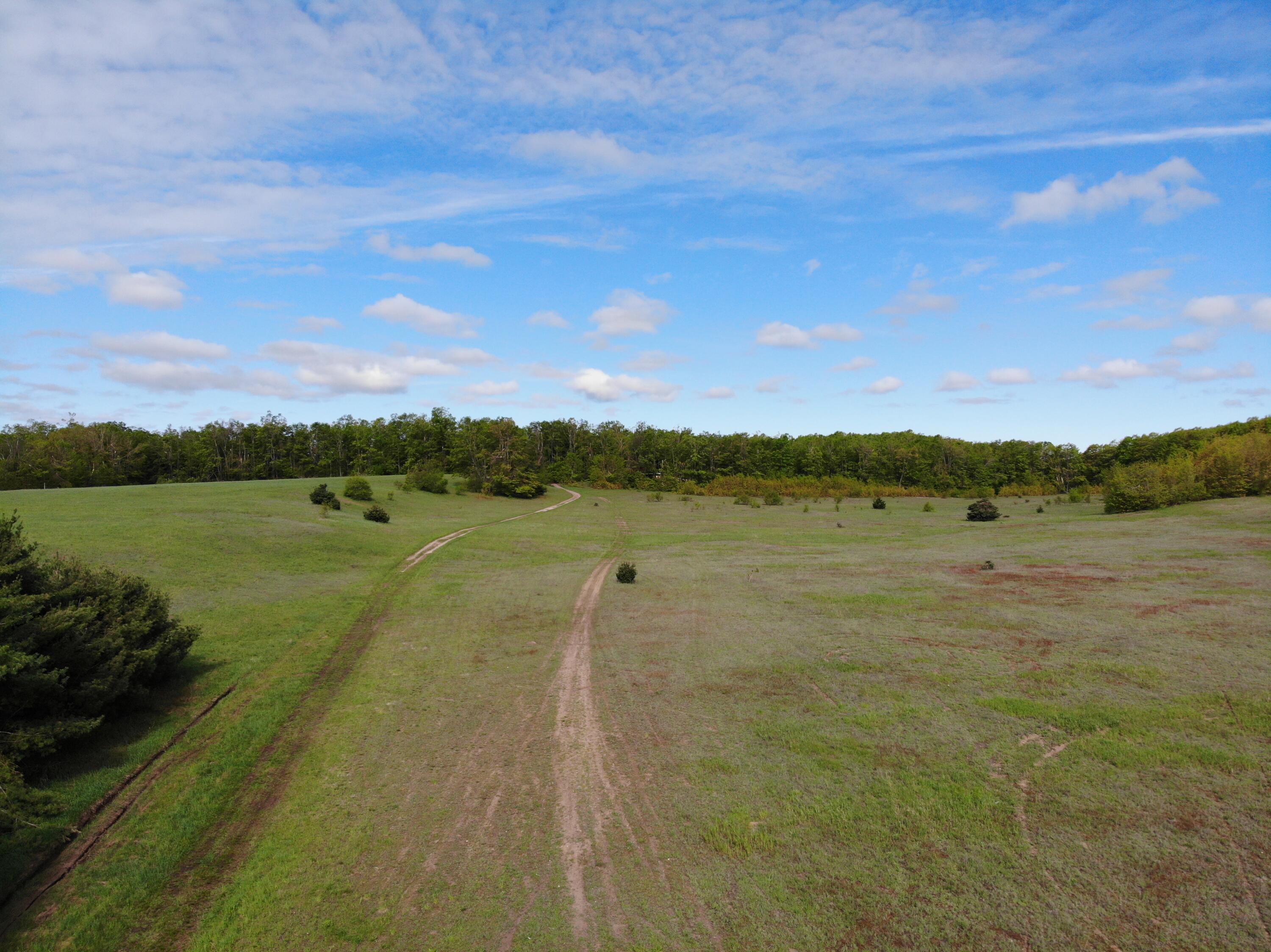 Nichols Road, 40 Acres