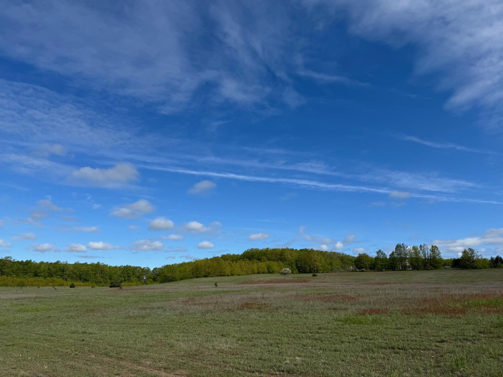 Nichols Road, 40 Acres