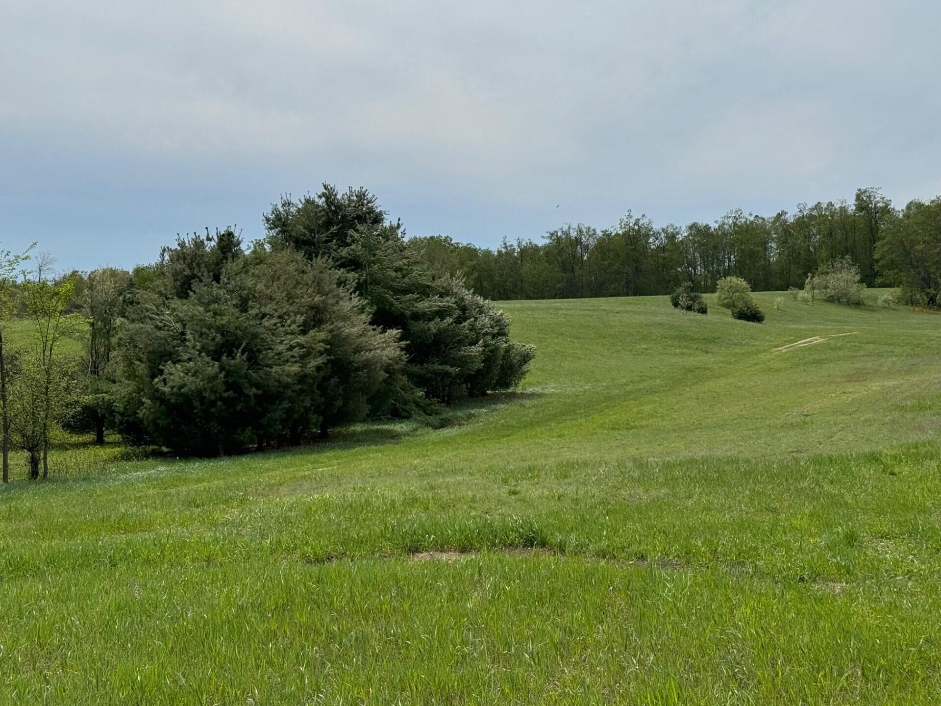 Nichols Road, 40 Acres