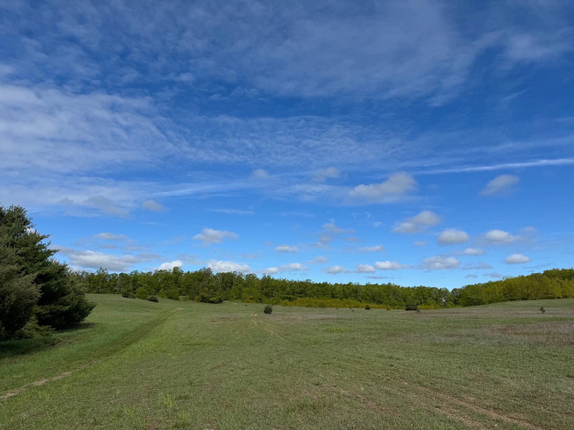 Nichols Road, 40 Acres