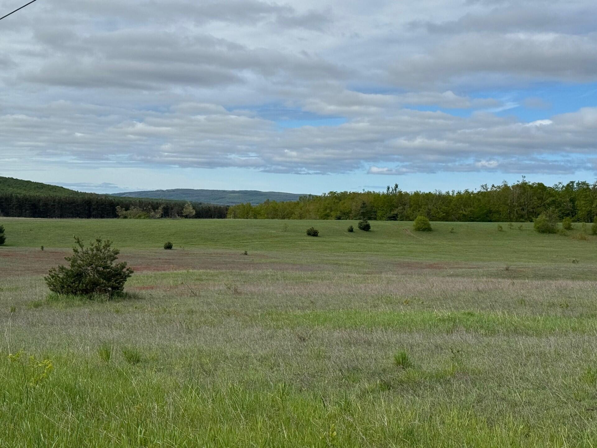 Nichols Road, 40 Acres