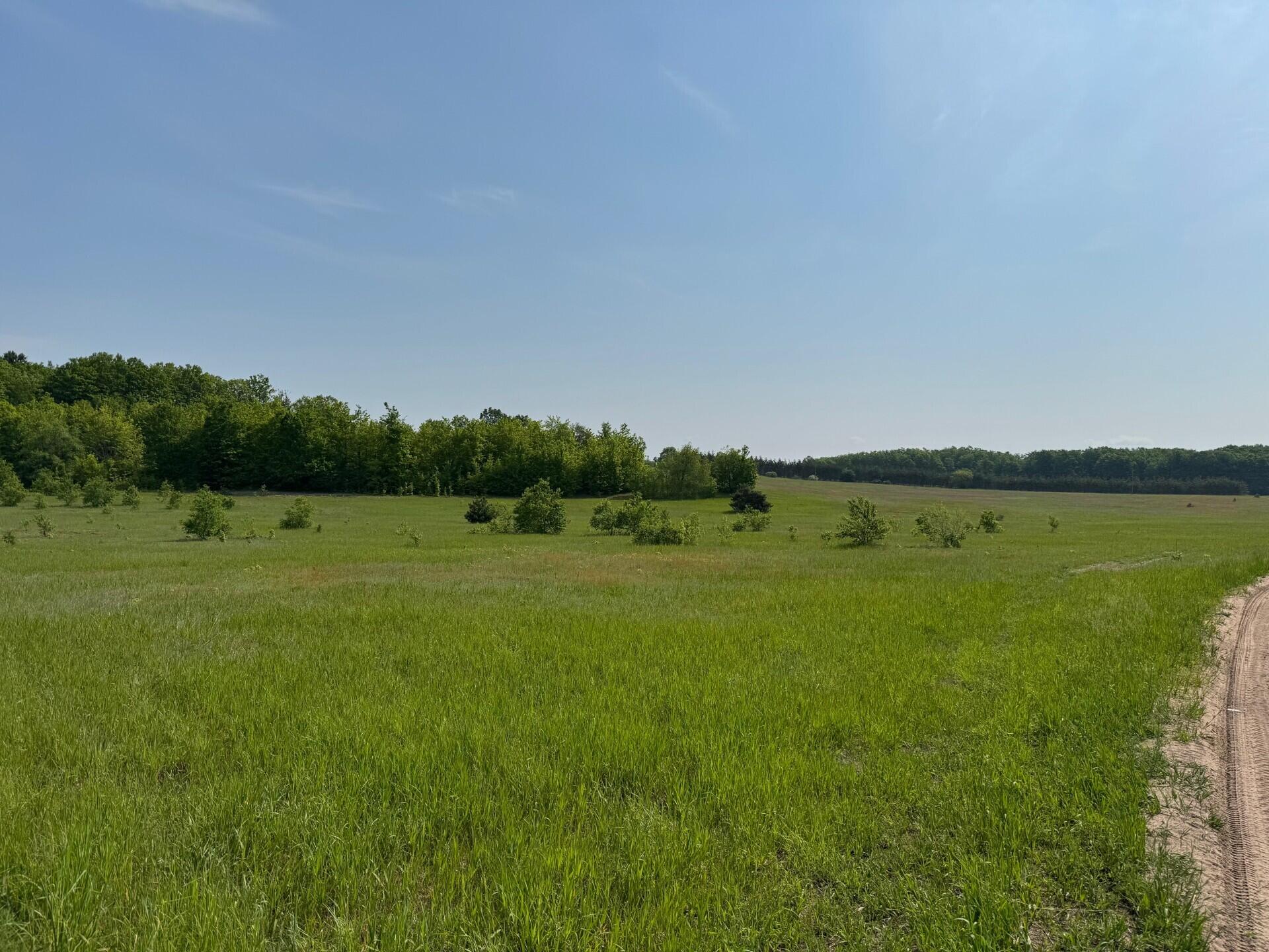 Nichols Road, 40 Acres