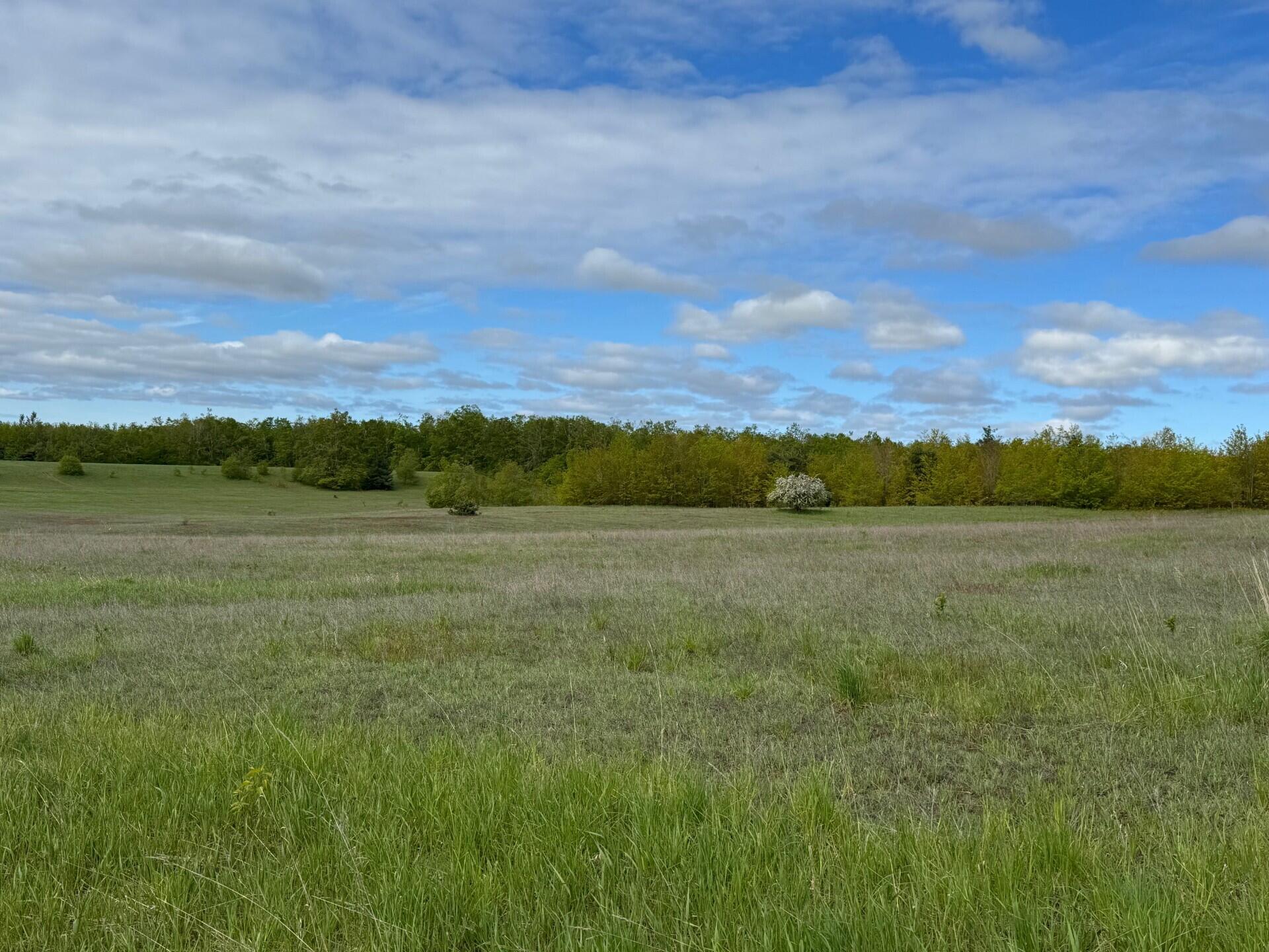 Nichols Road, 40 Acres