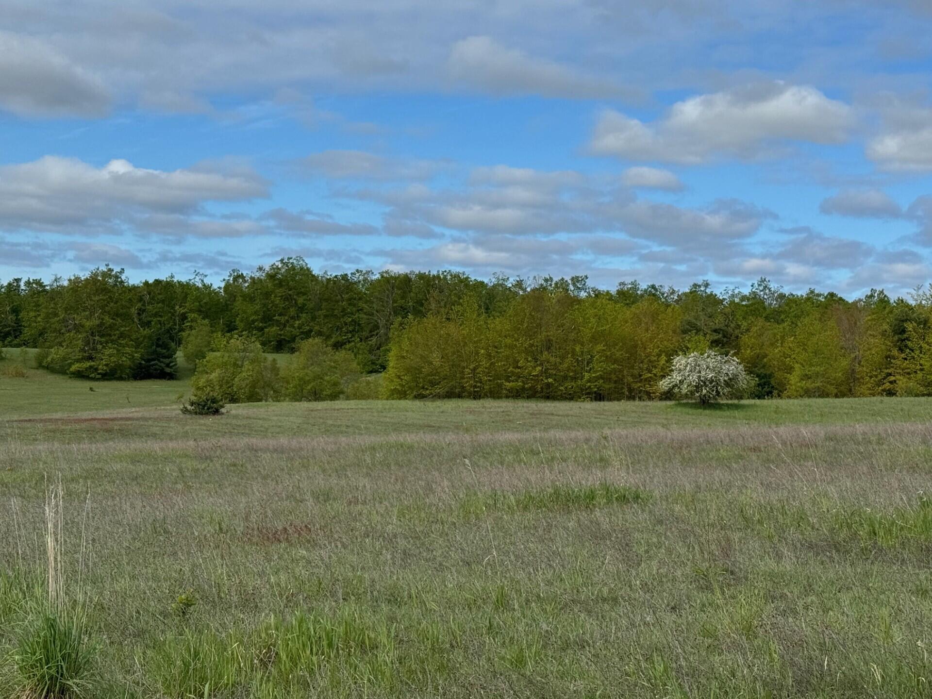 Nichols Road, 40 Acres