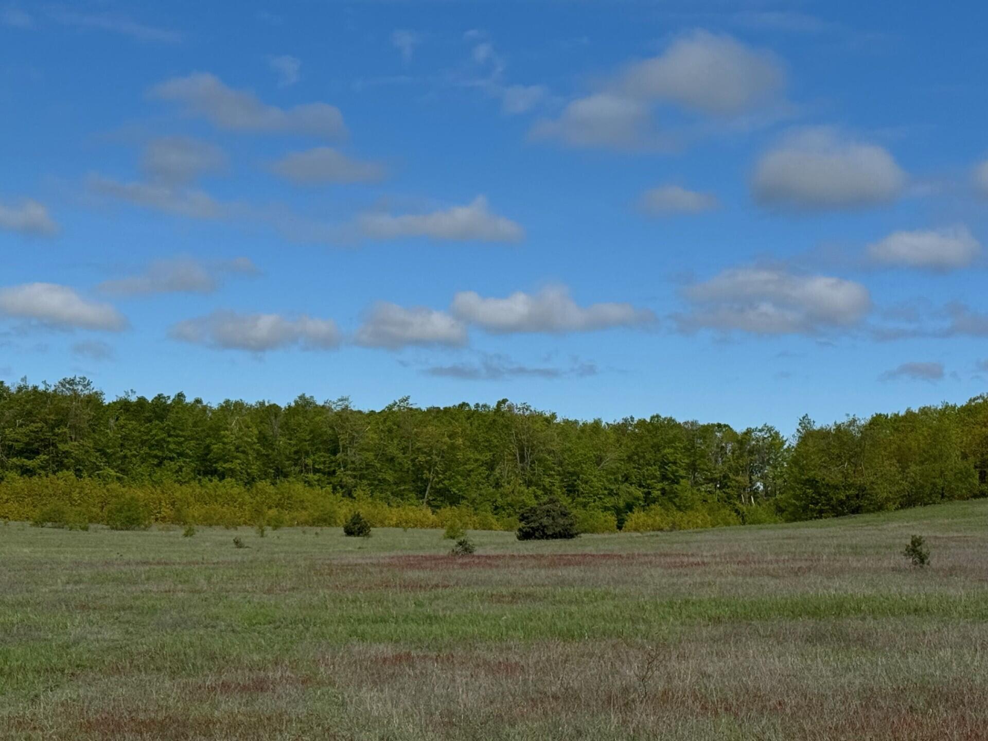 Nichols Road, 40 Acres