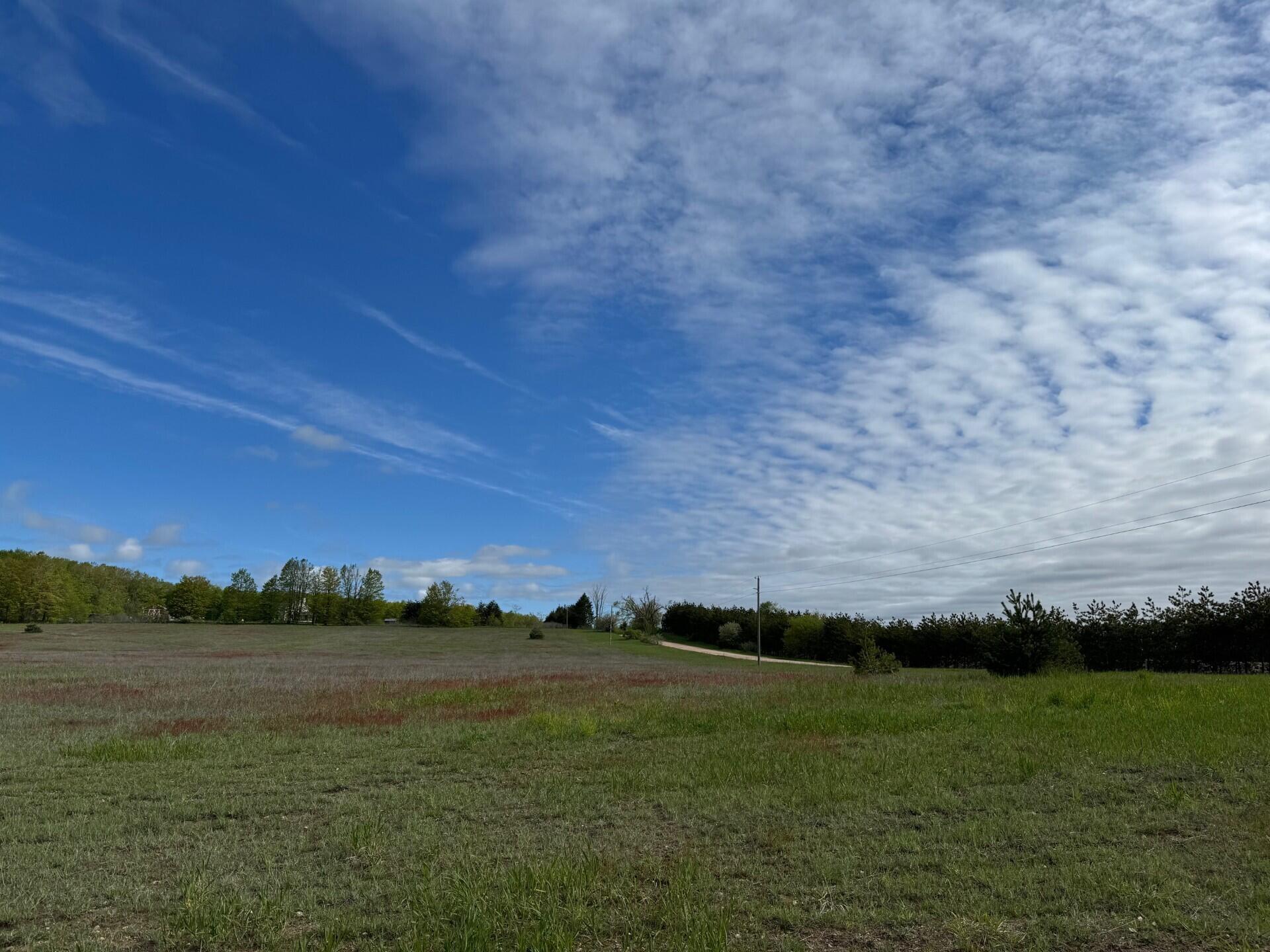 Nichols Road, 40 Acres