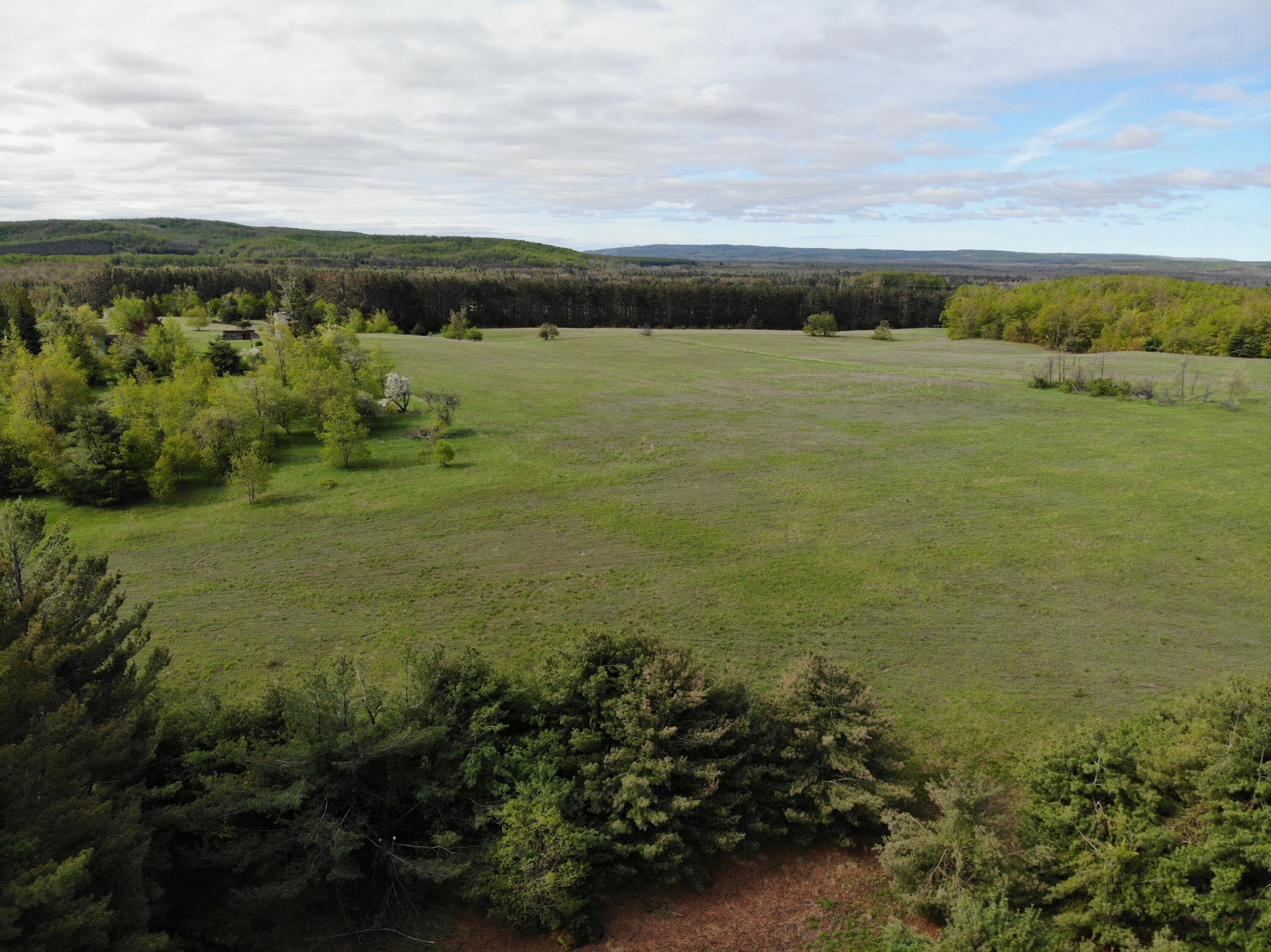 Nichols Road, 40 Acres