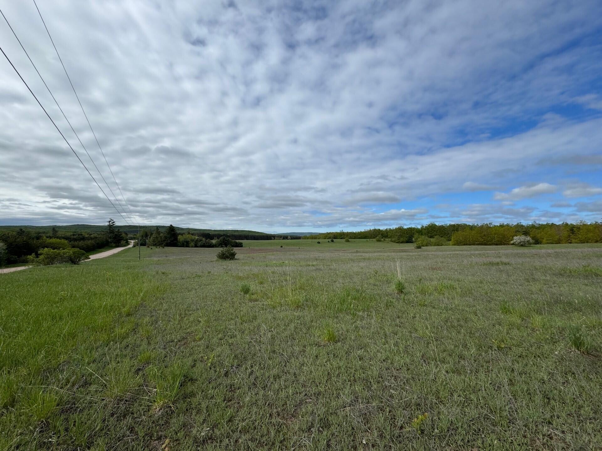 Nichols Road, 40 Acres