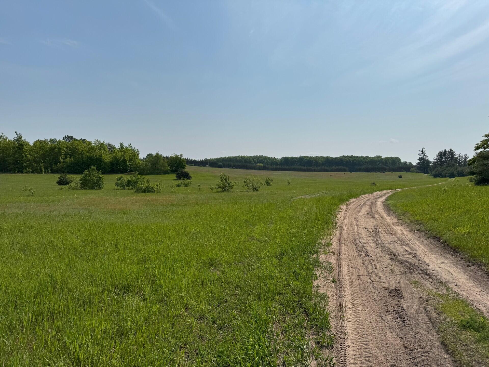 Nichols Road, 40 Acres