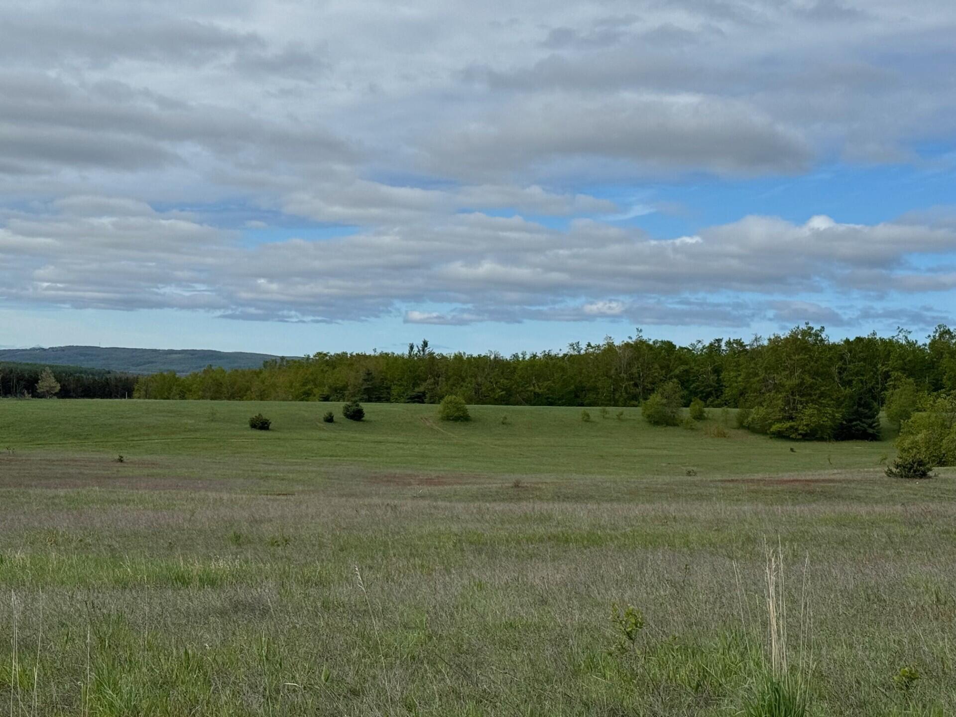 Nichols Road, 40 Acres