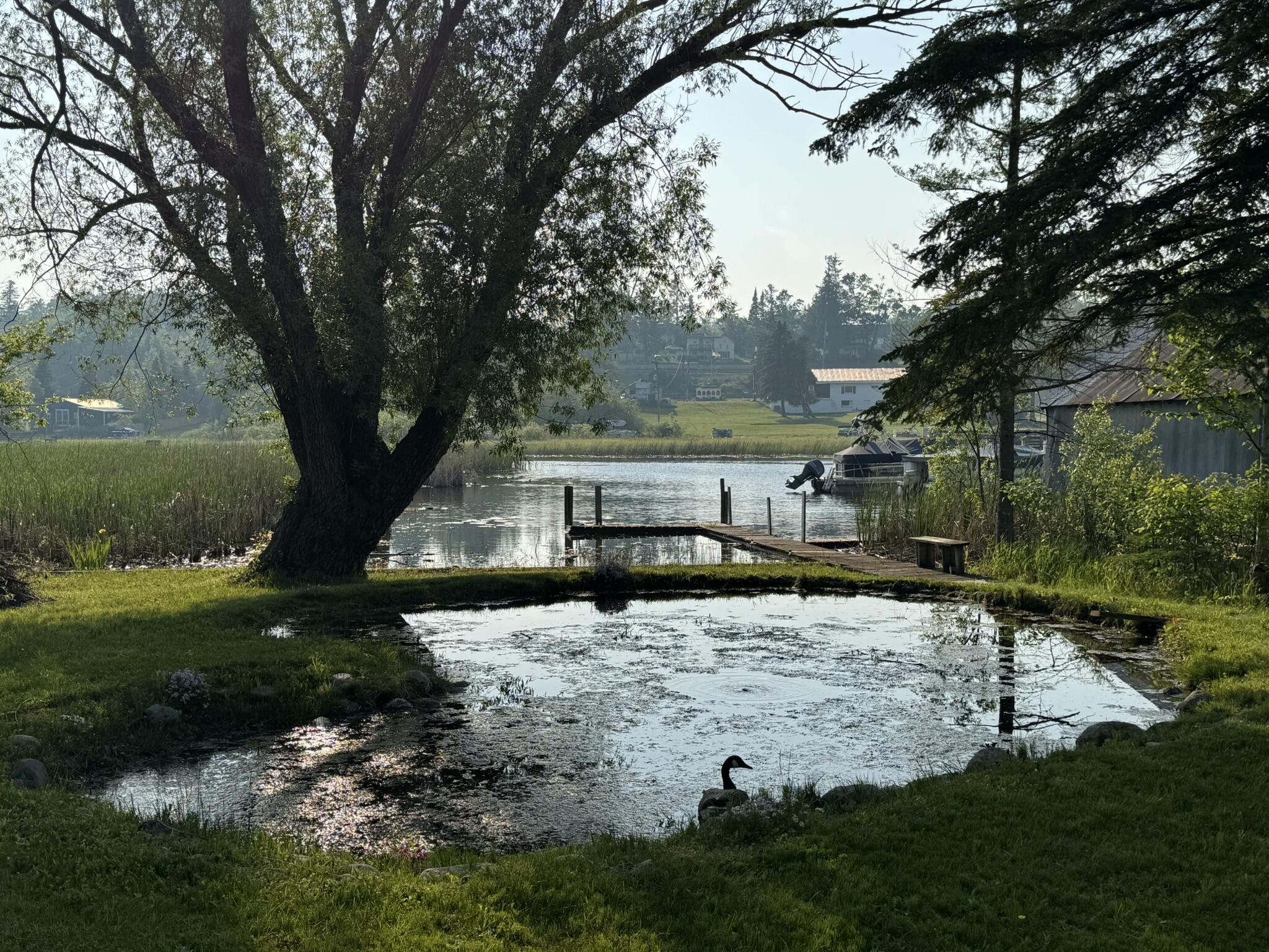 7386 Cheboygan Street