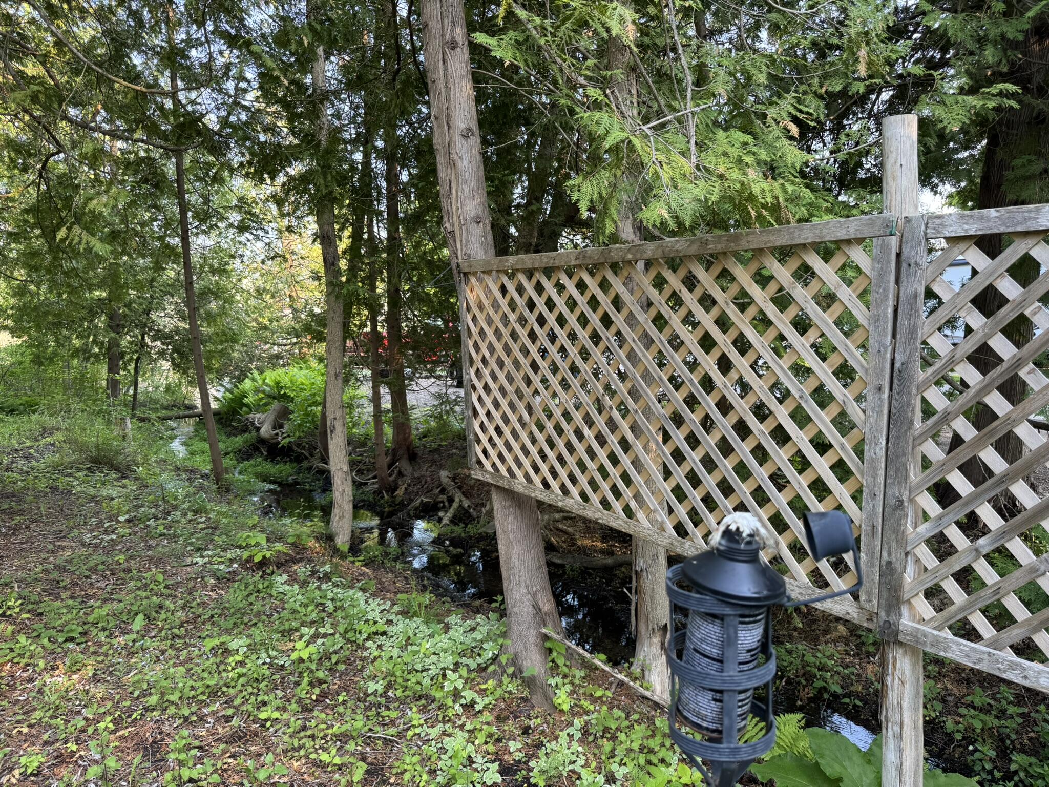 7386 Cheboygan Street