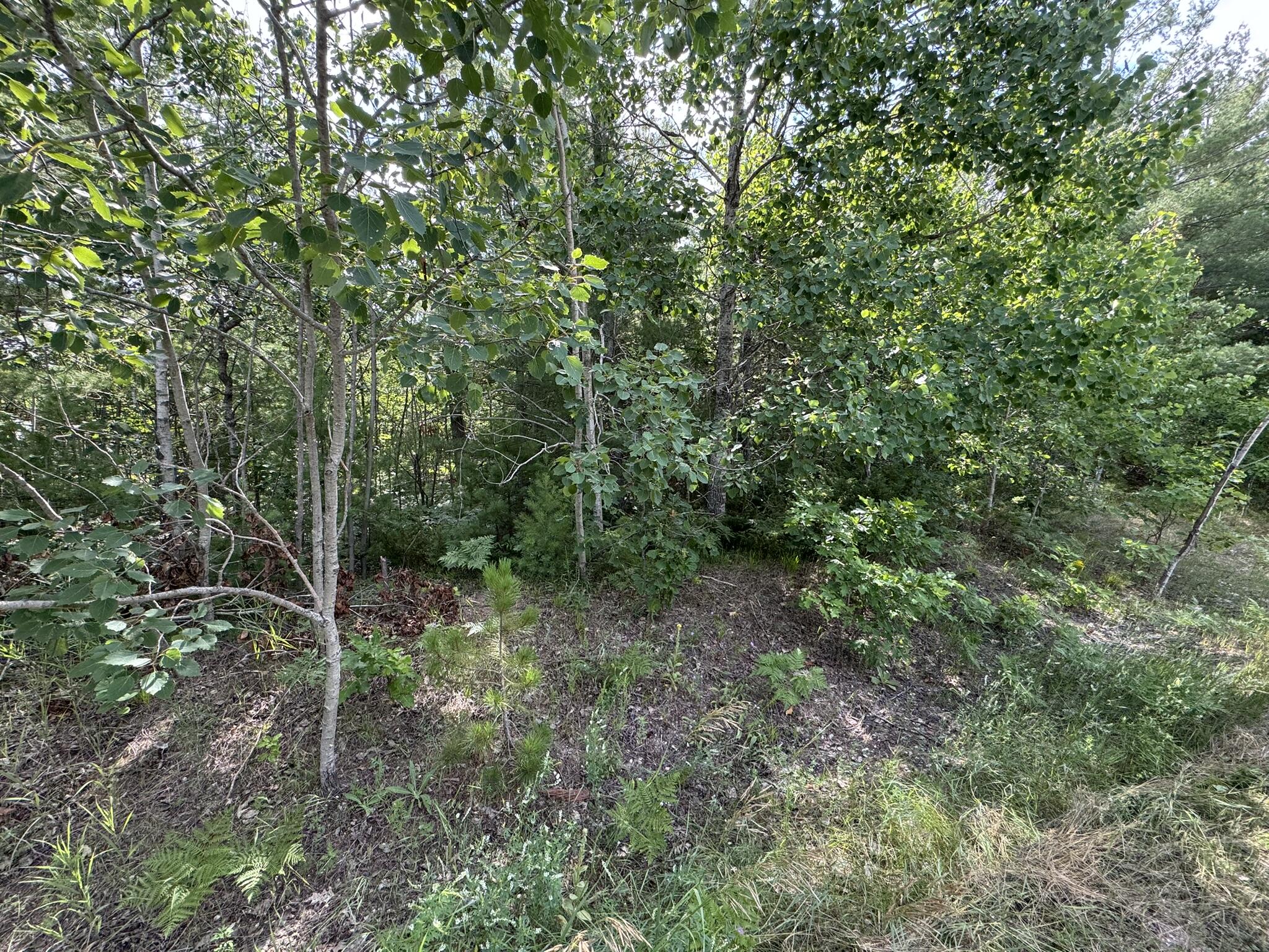 10320 Upper Mograin Road