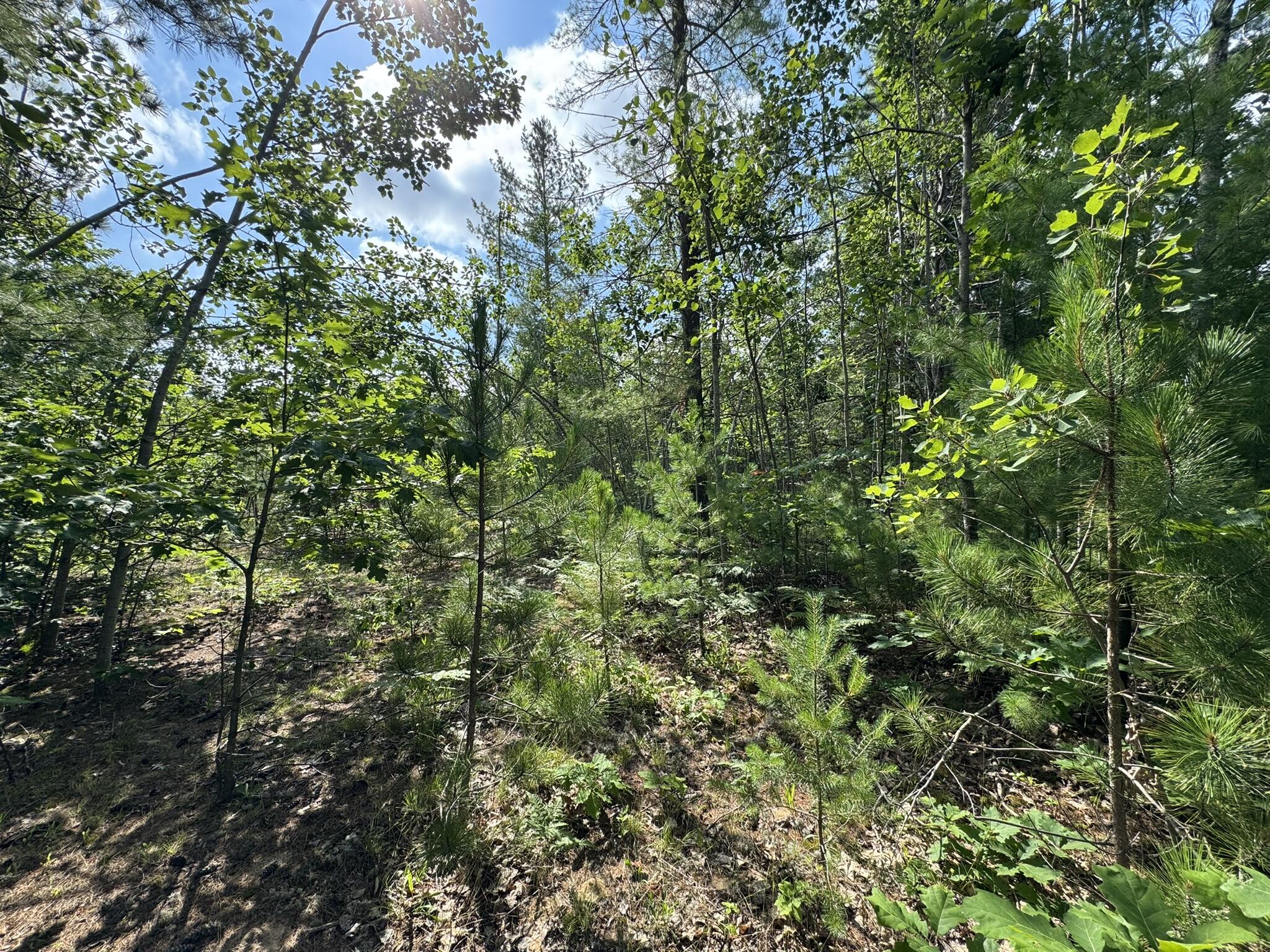 10320 Upper Mograin Road