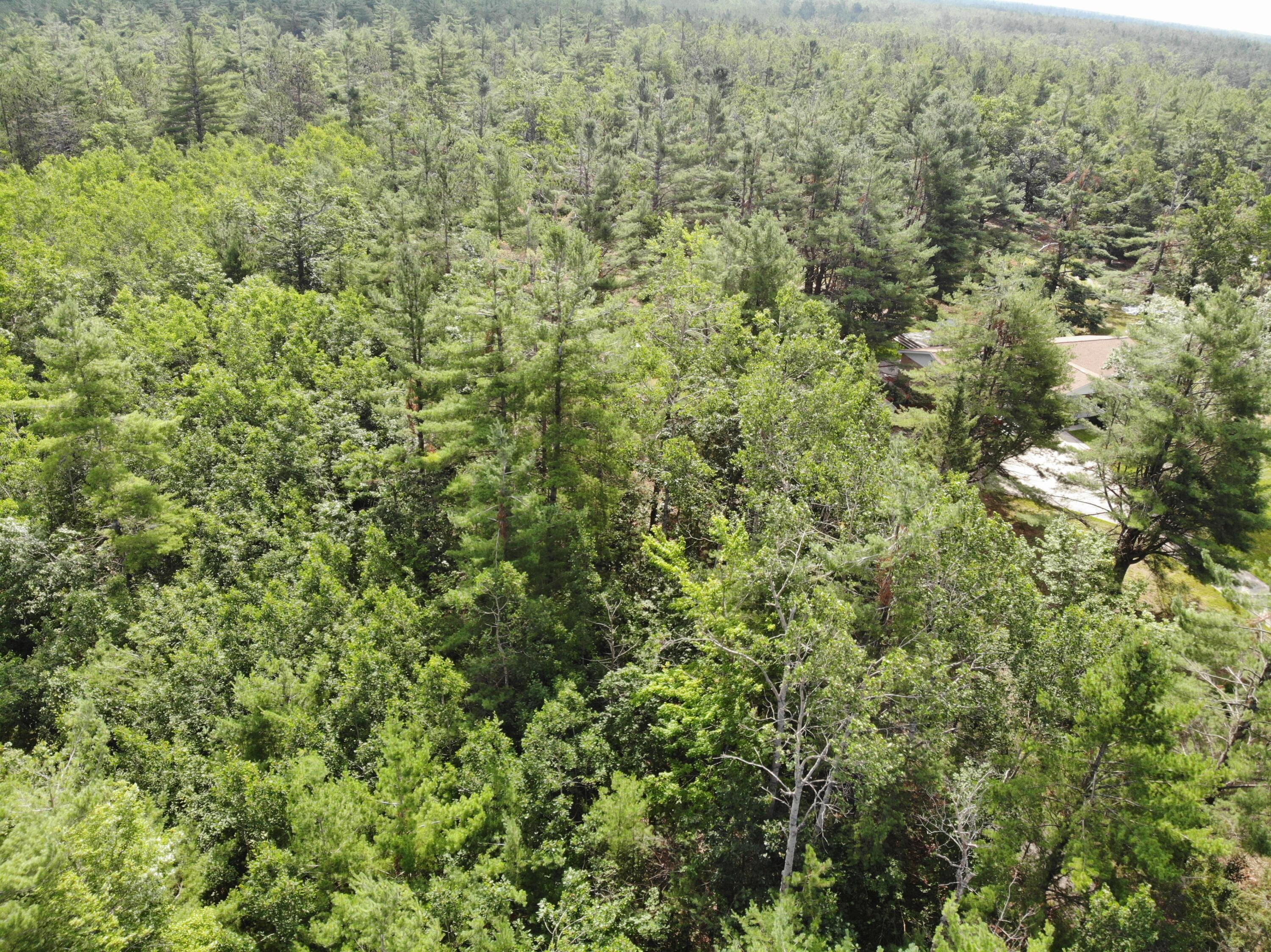 10320 Upper Mograin Road