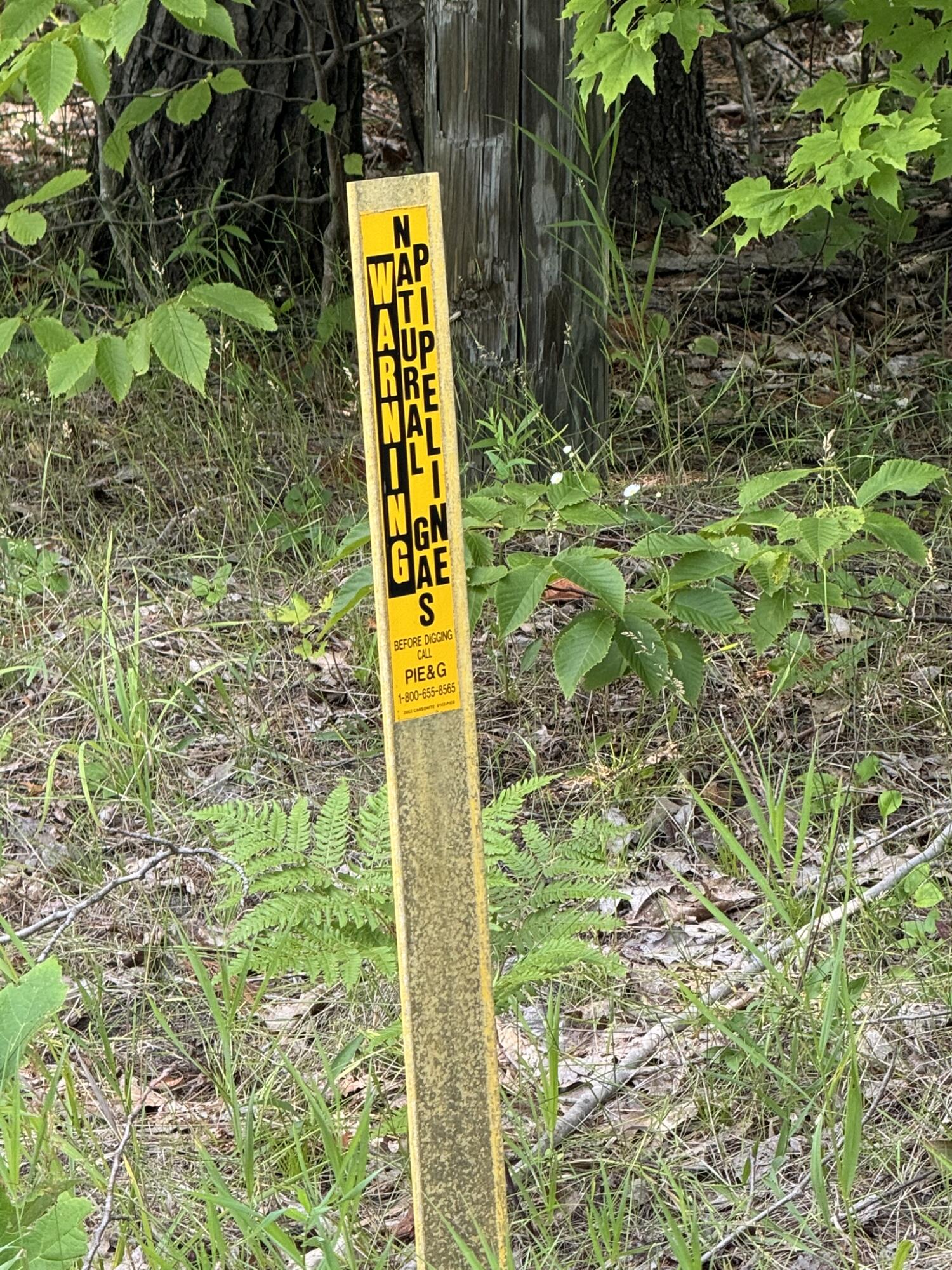 10320 Upper Mograin Road