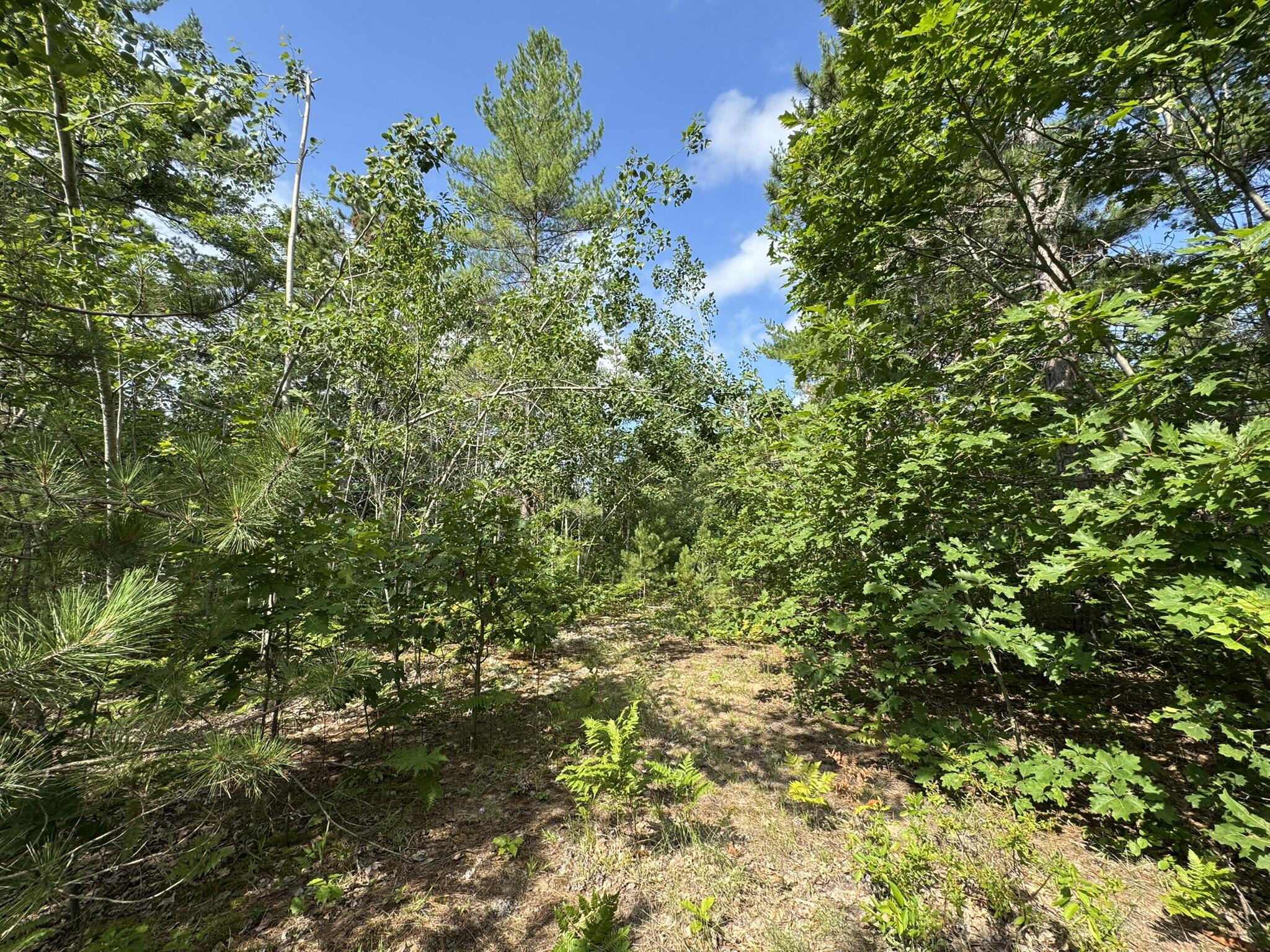 10320 Upper Mograin Road