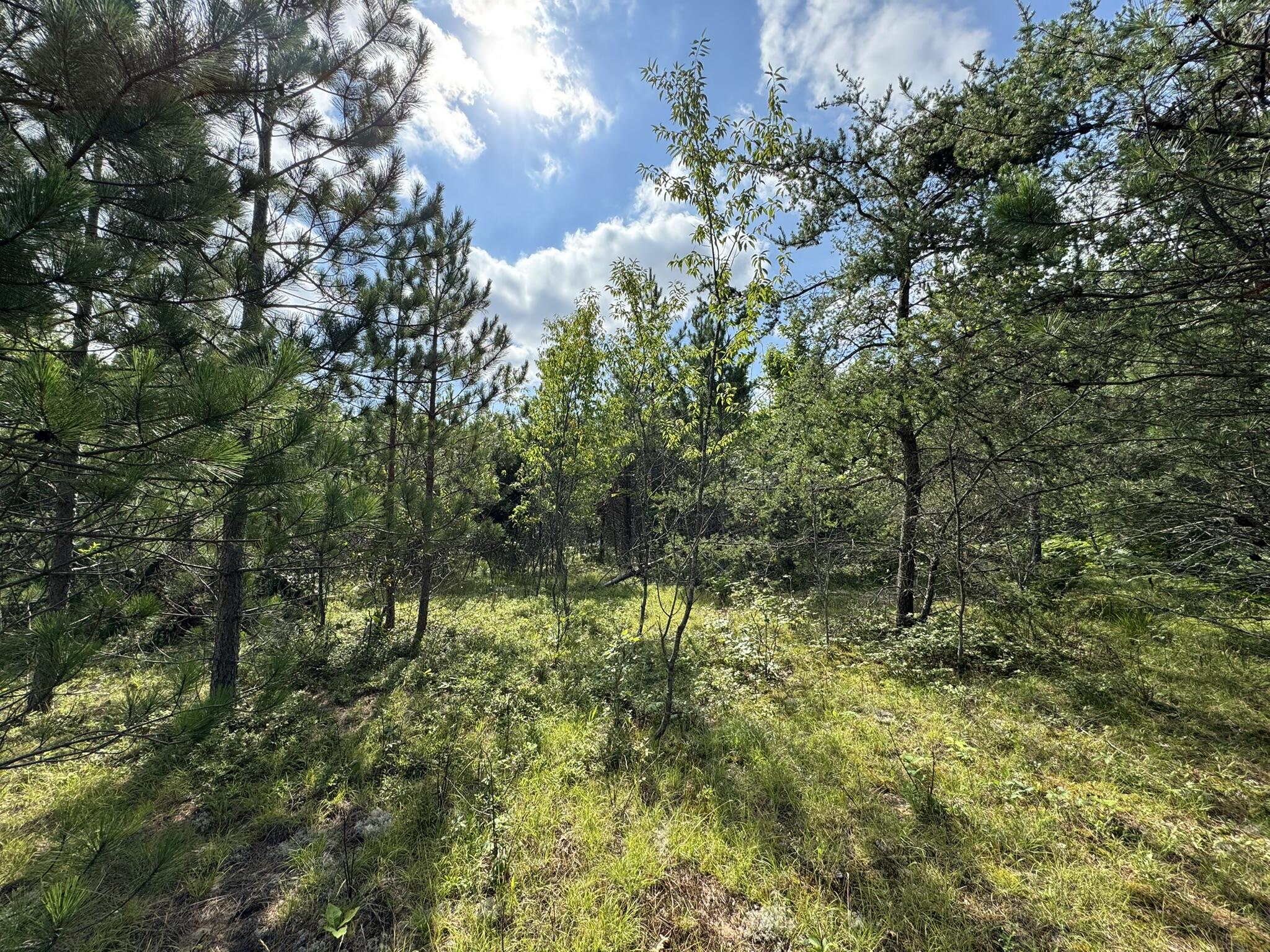 10320 Upper Mograin Road