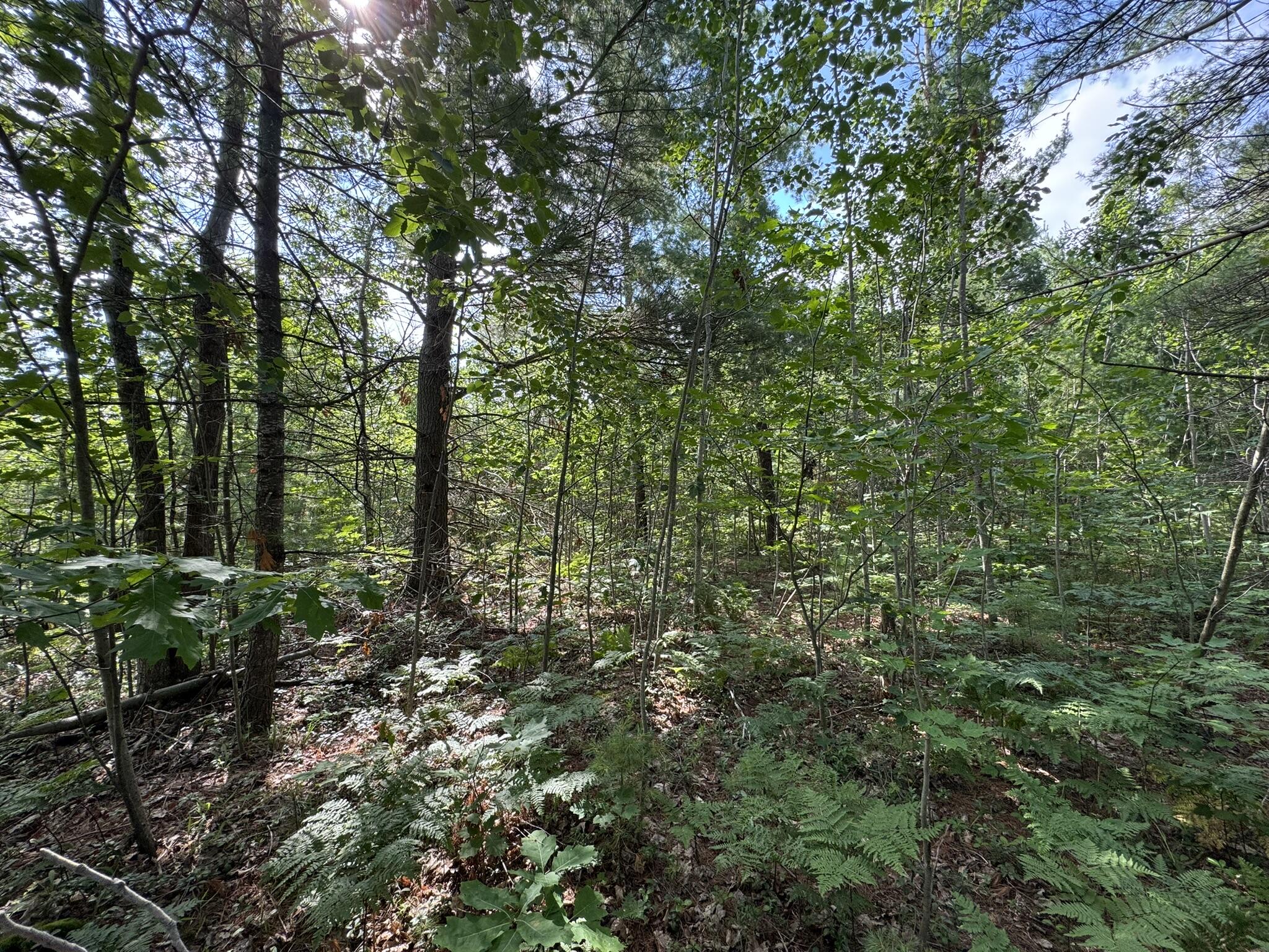 10320 Upper Mograin Road