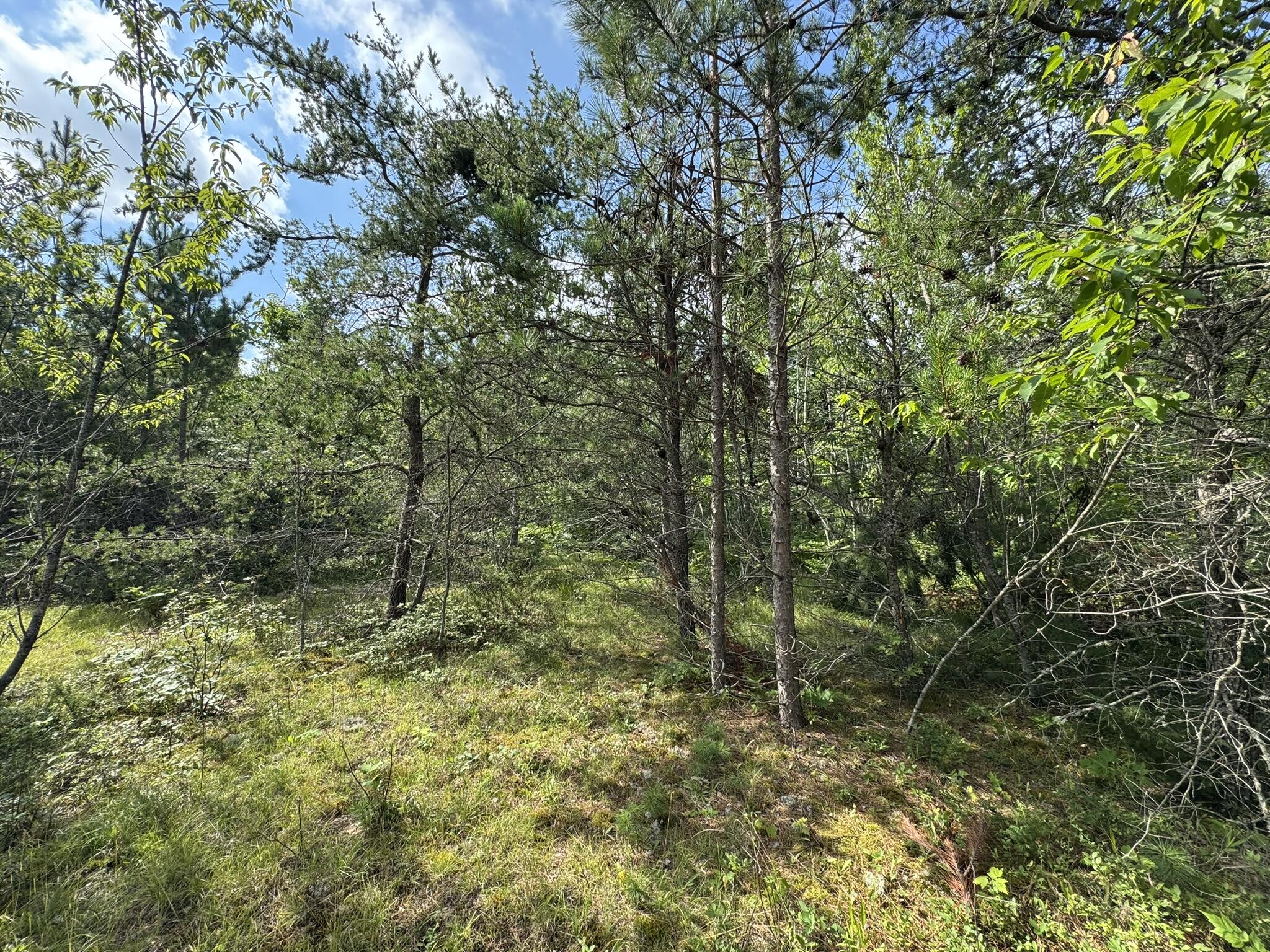 10320 Upper Mograin Road