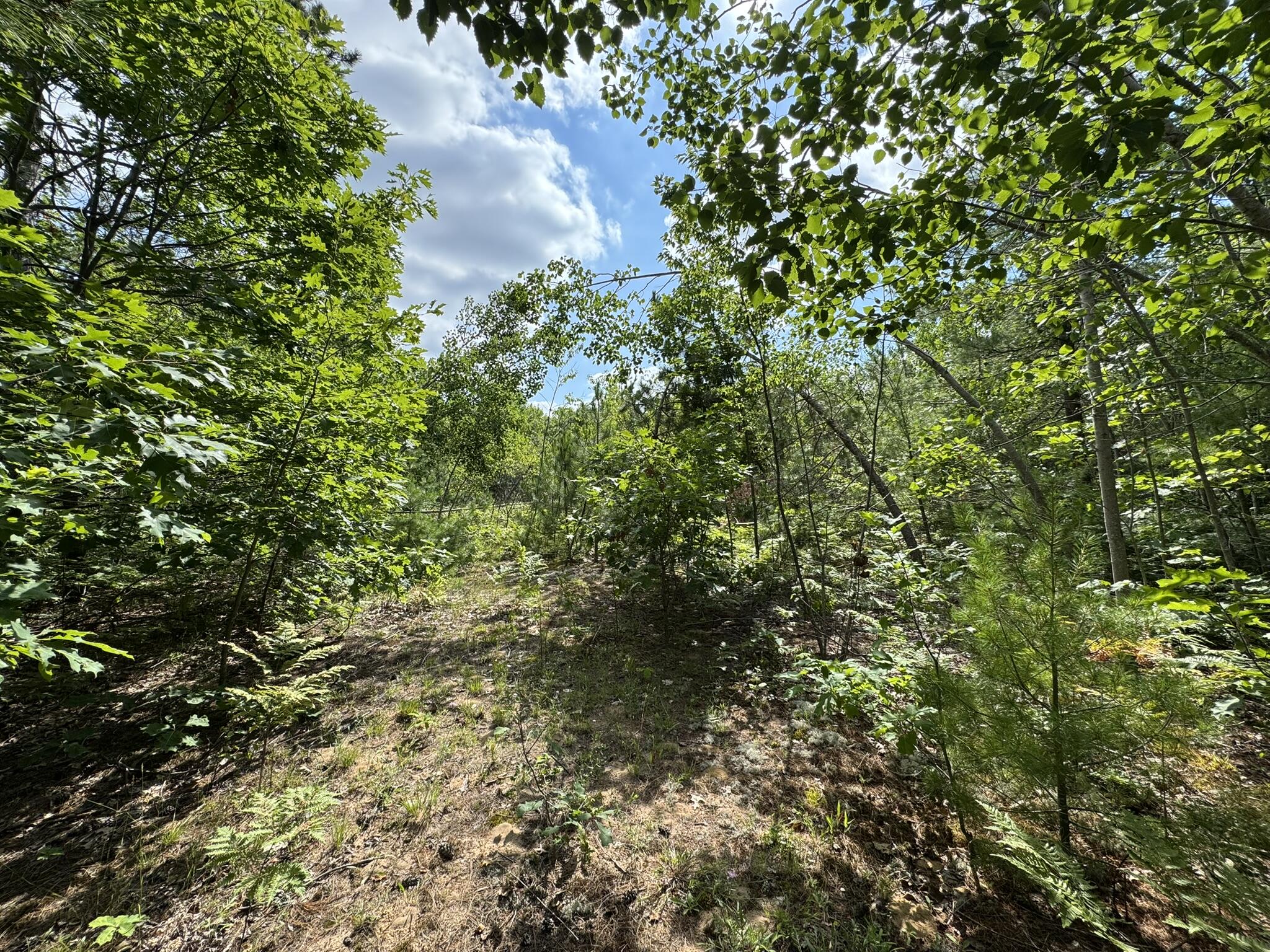 10320 Upper Mograin Road