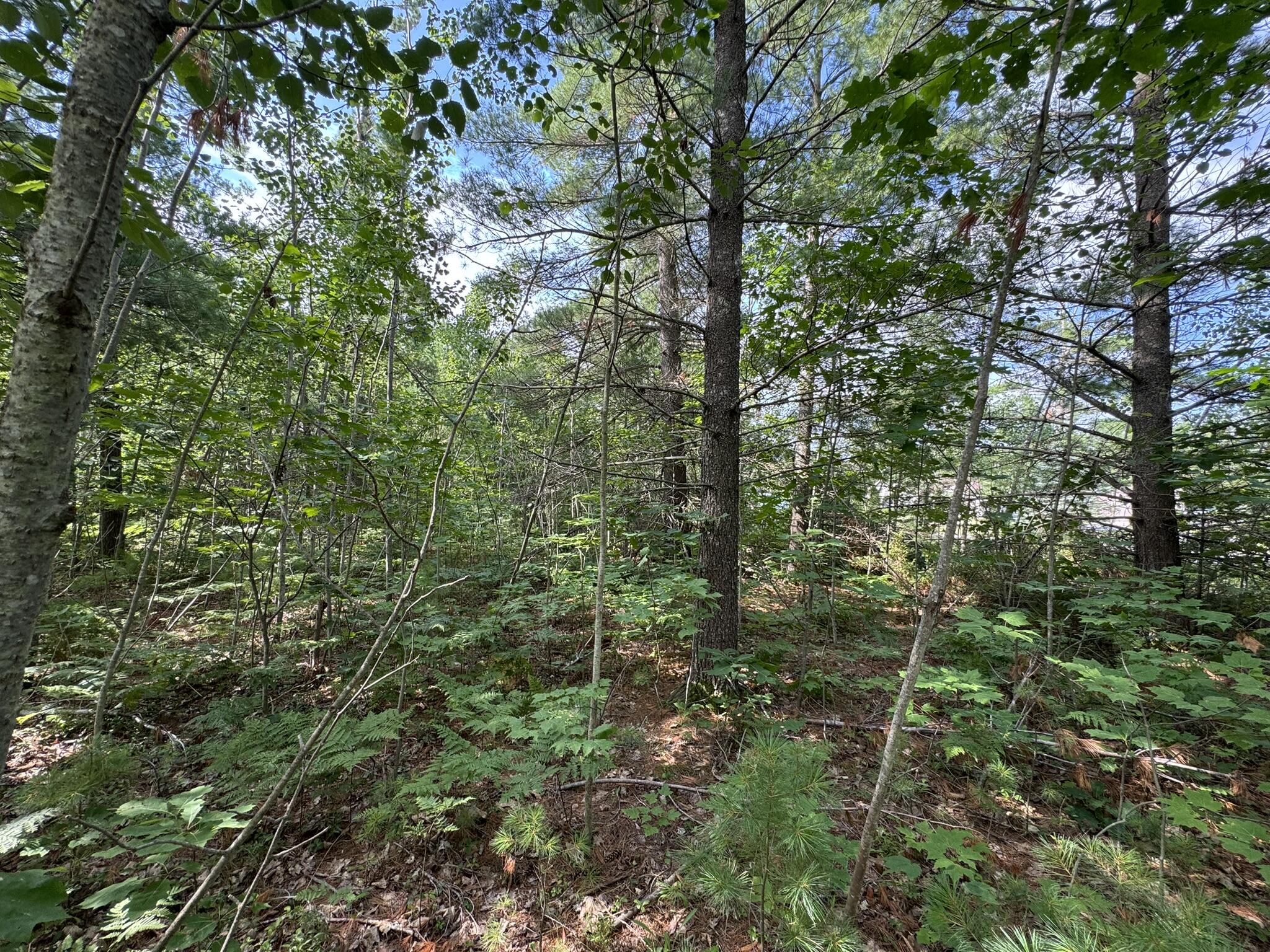 10320 Upper Mograin Road