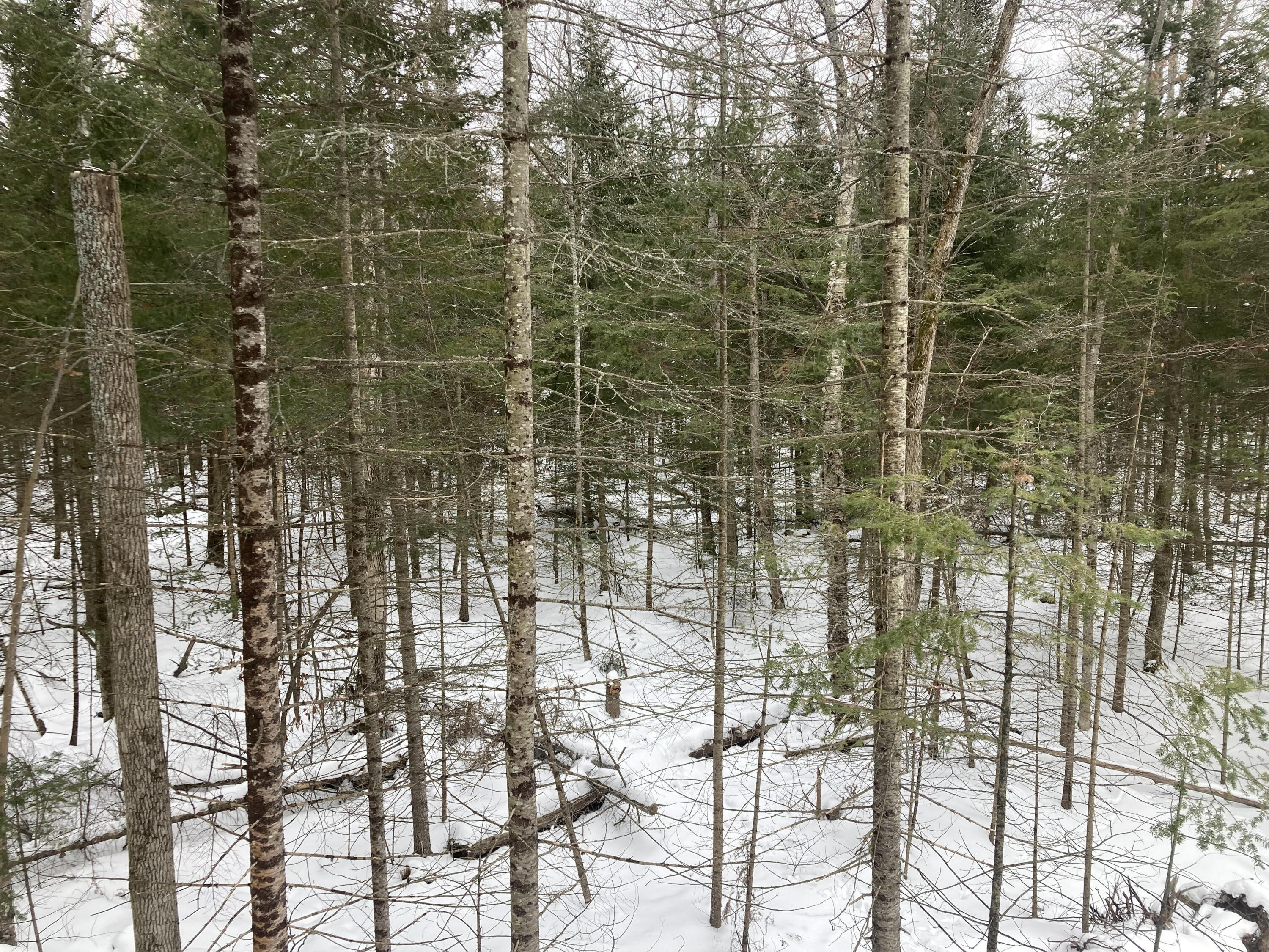1602 Trails End Road