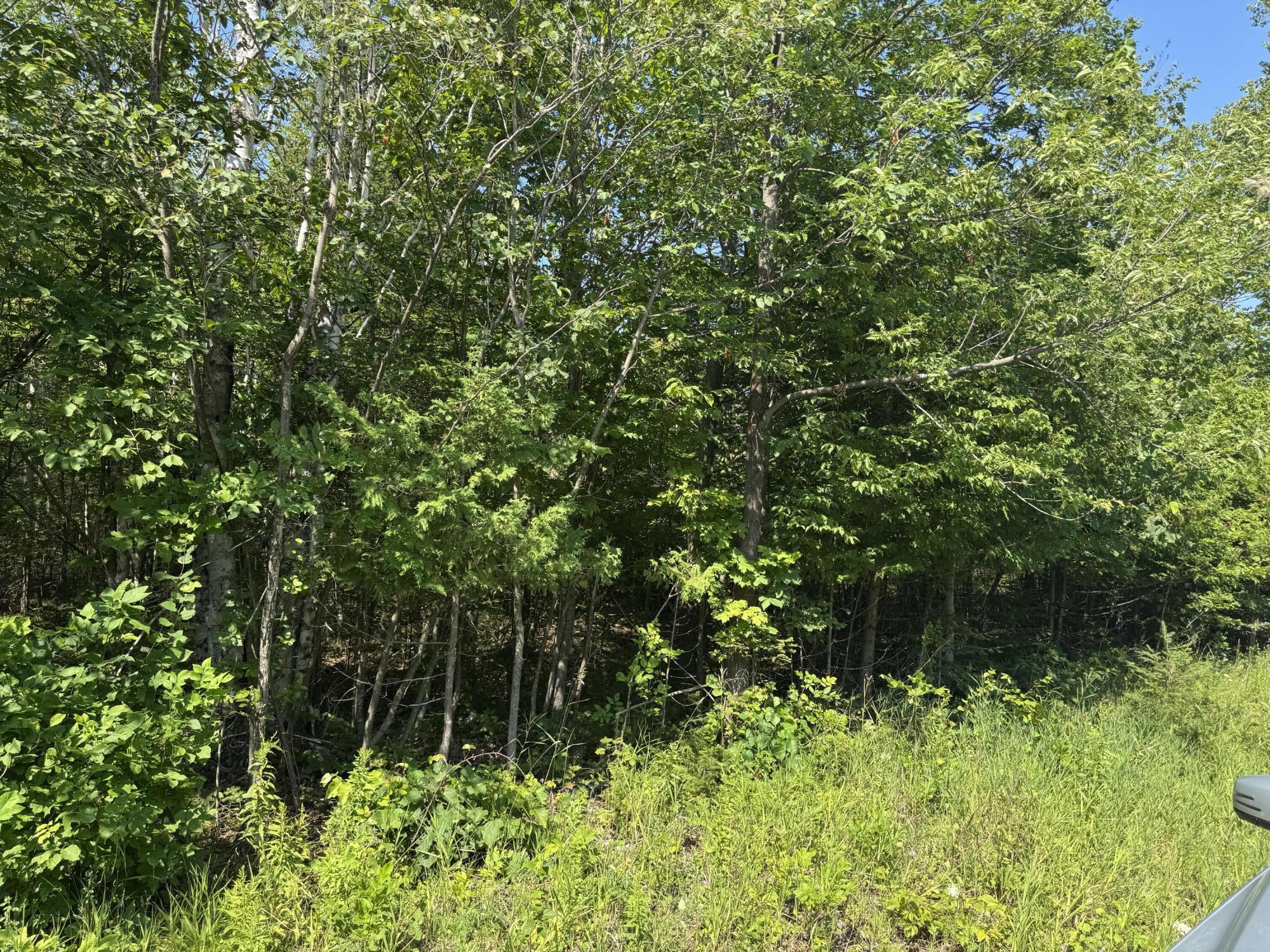 1520 Trails End Road