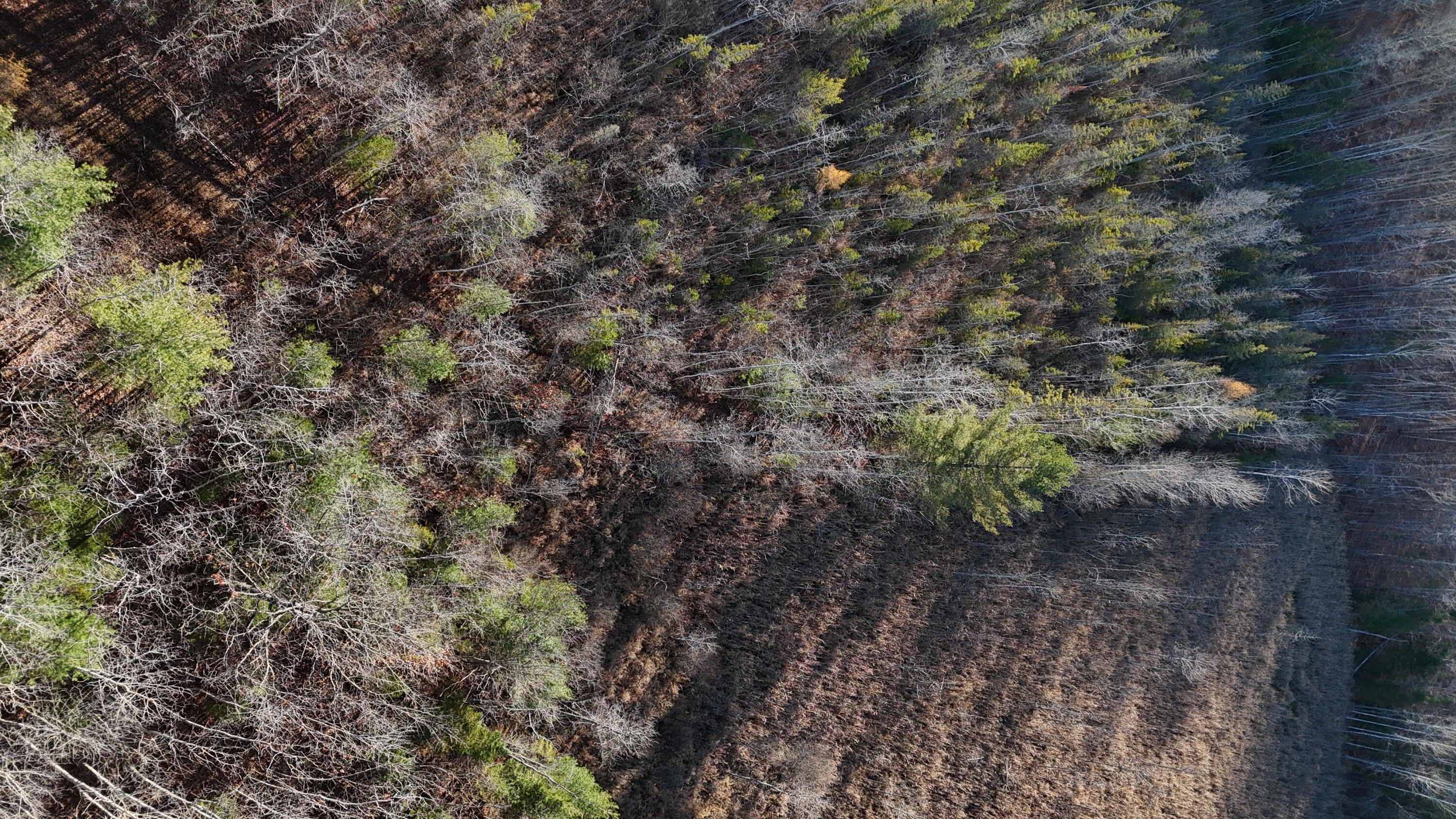 V/L 232AC Hebron Town Hall Road