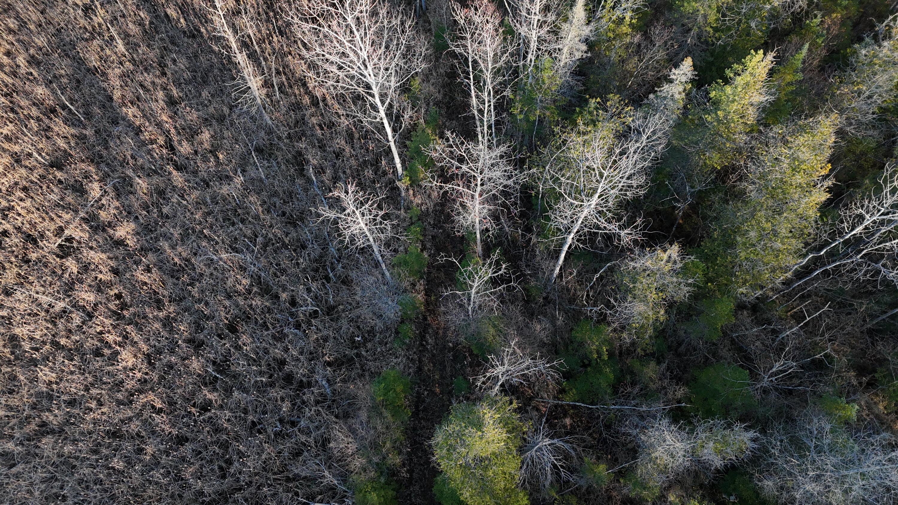 V/L 232AC Hebron Town Hall Road