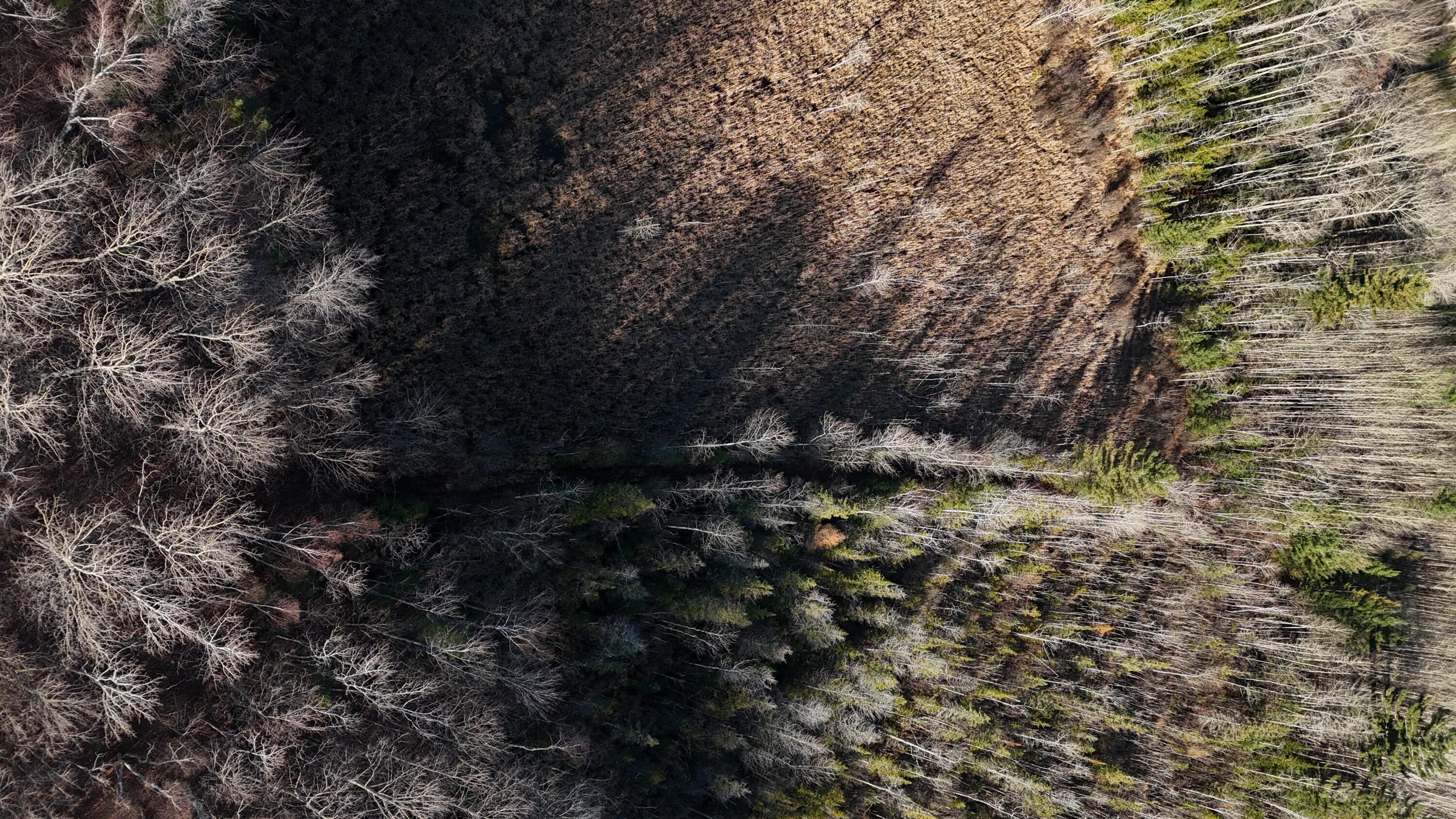 V/L 232AC Hebron Town Hall Road