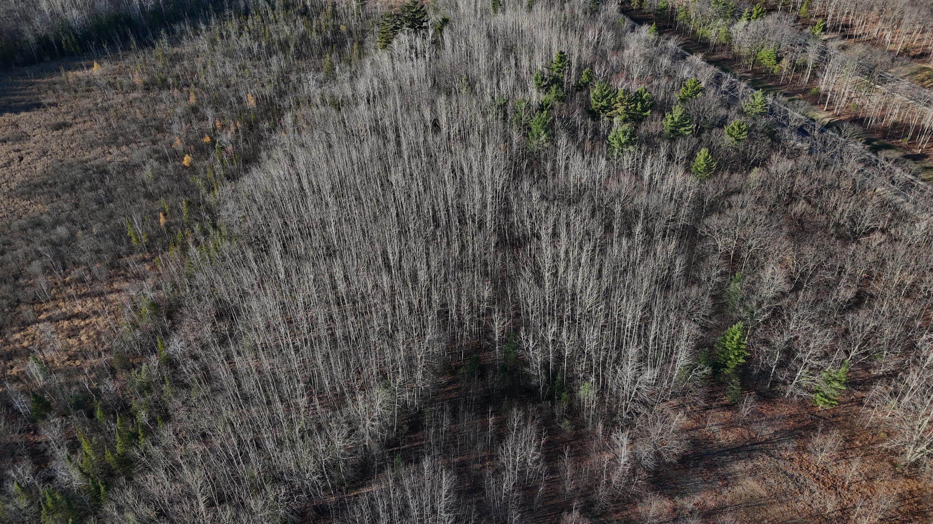 V/L 232AC Hebron Town Hall Road