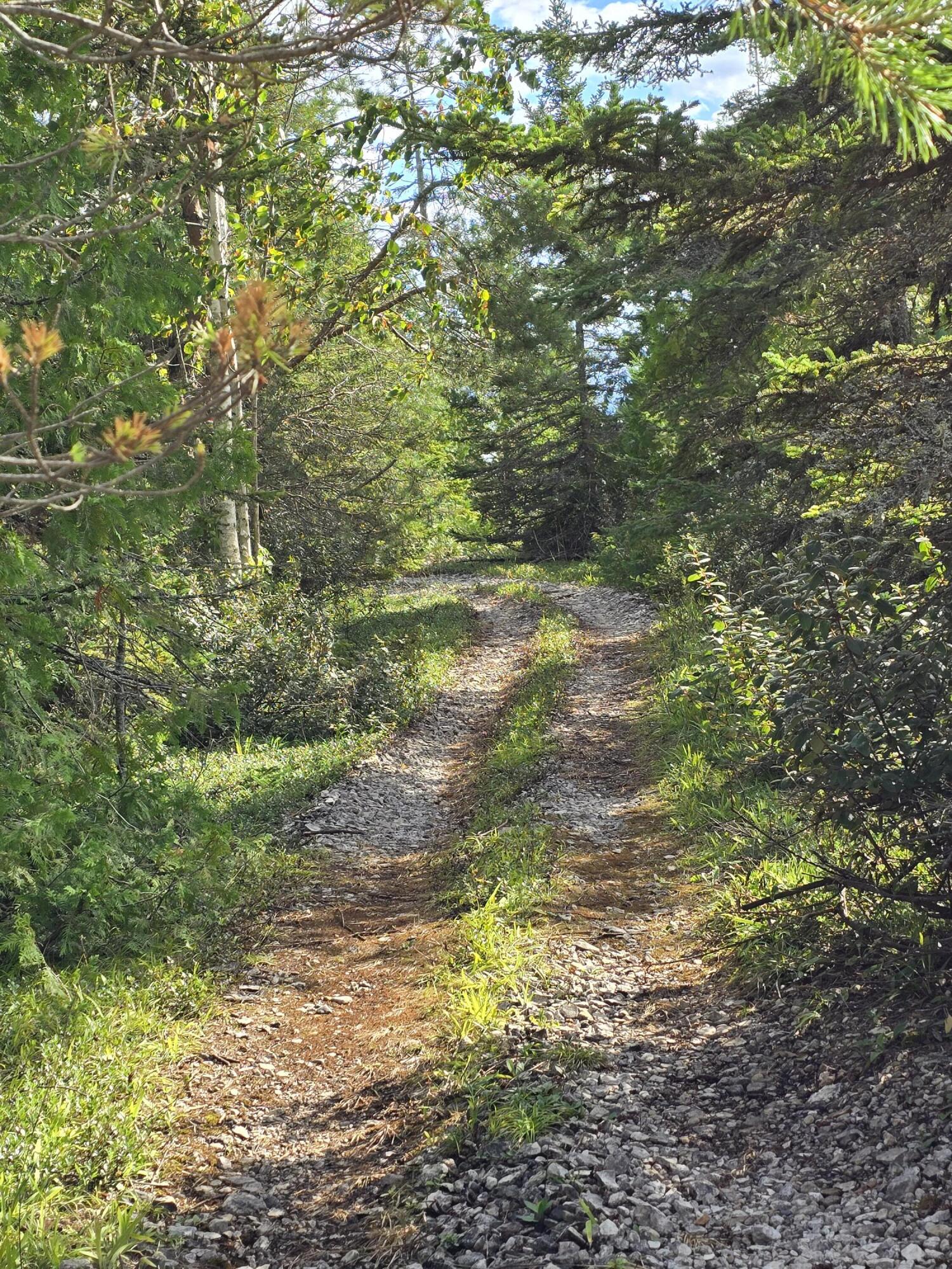 W Gros Cap Road, 2.83 Acres, St. Ignace