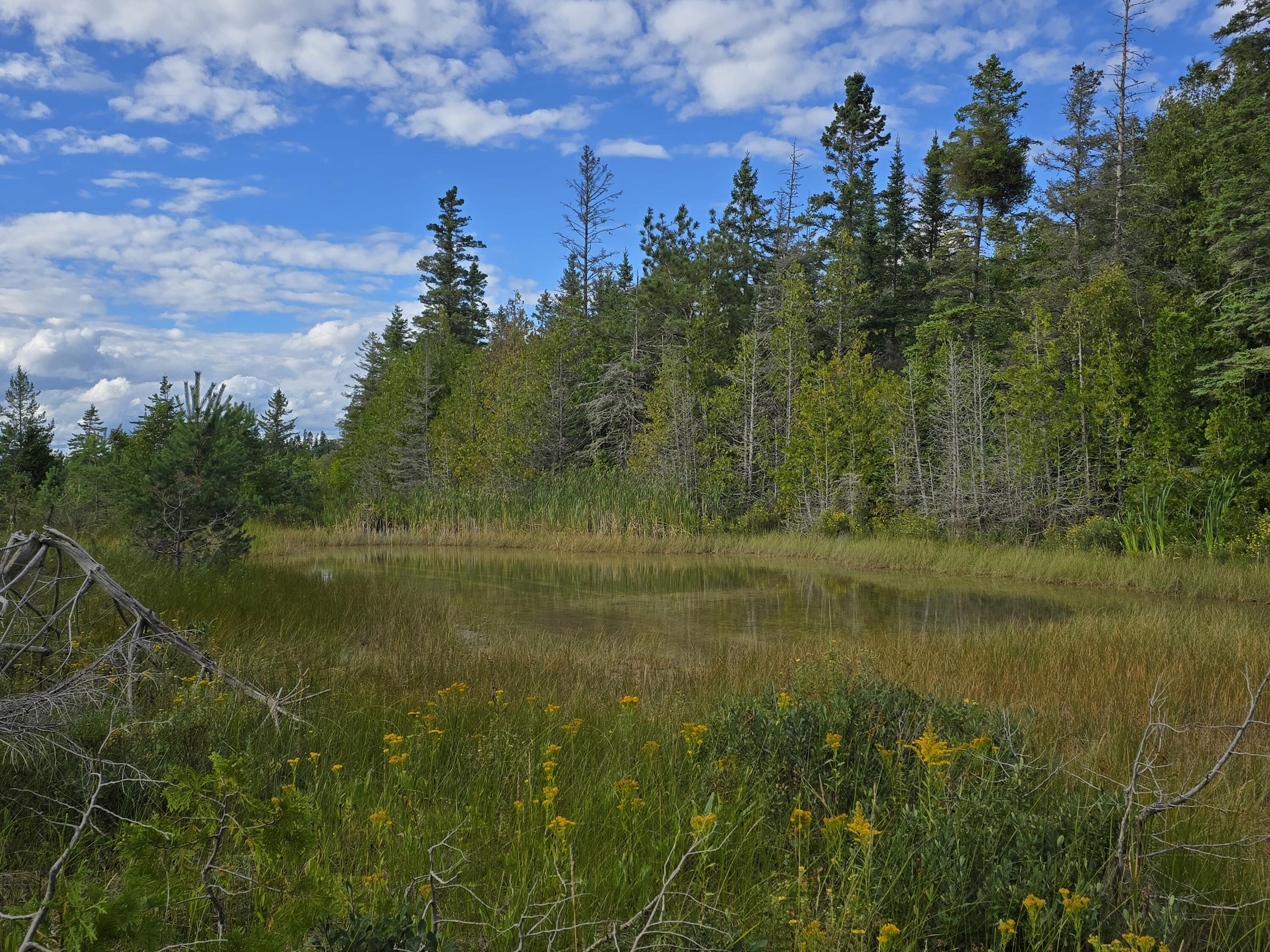 W Gros Cap Road, 2.83 Acres, St. Ignace