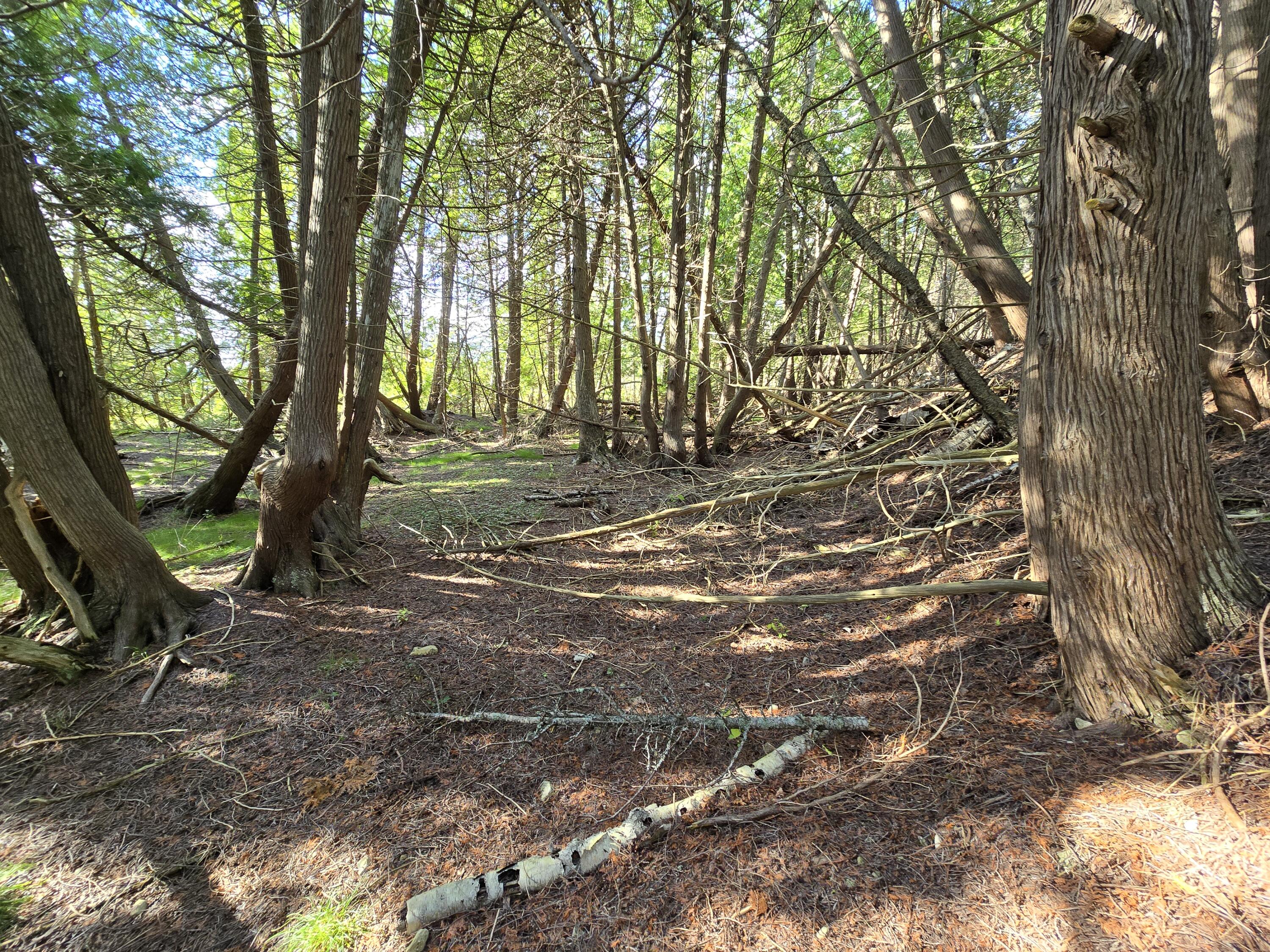 W Gros Cap Road, 2.83 Acres, St. Ignace