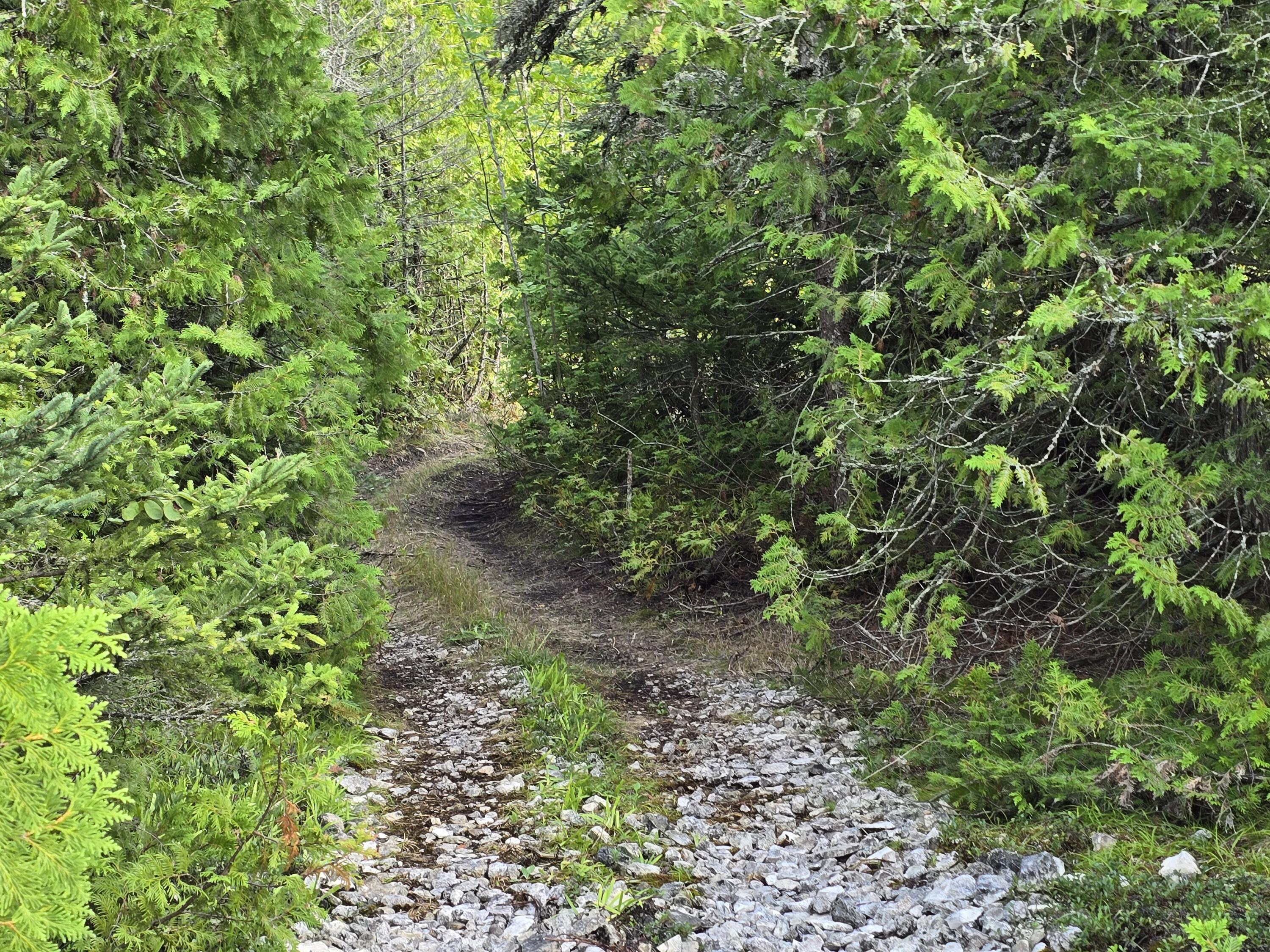 W Gros Cap Road, 2.83 Acres, St. Ignace