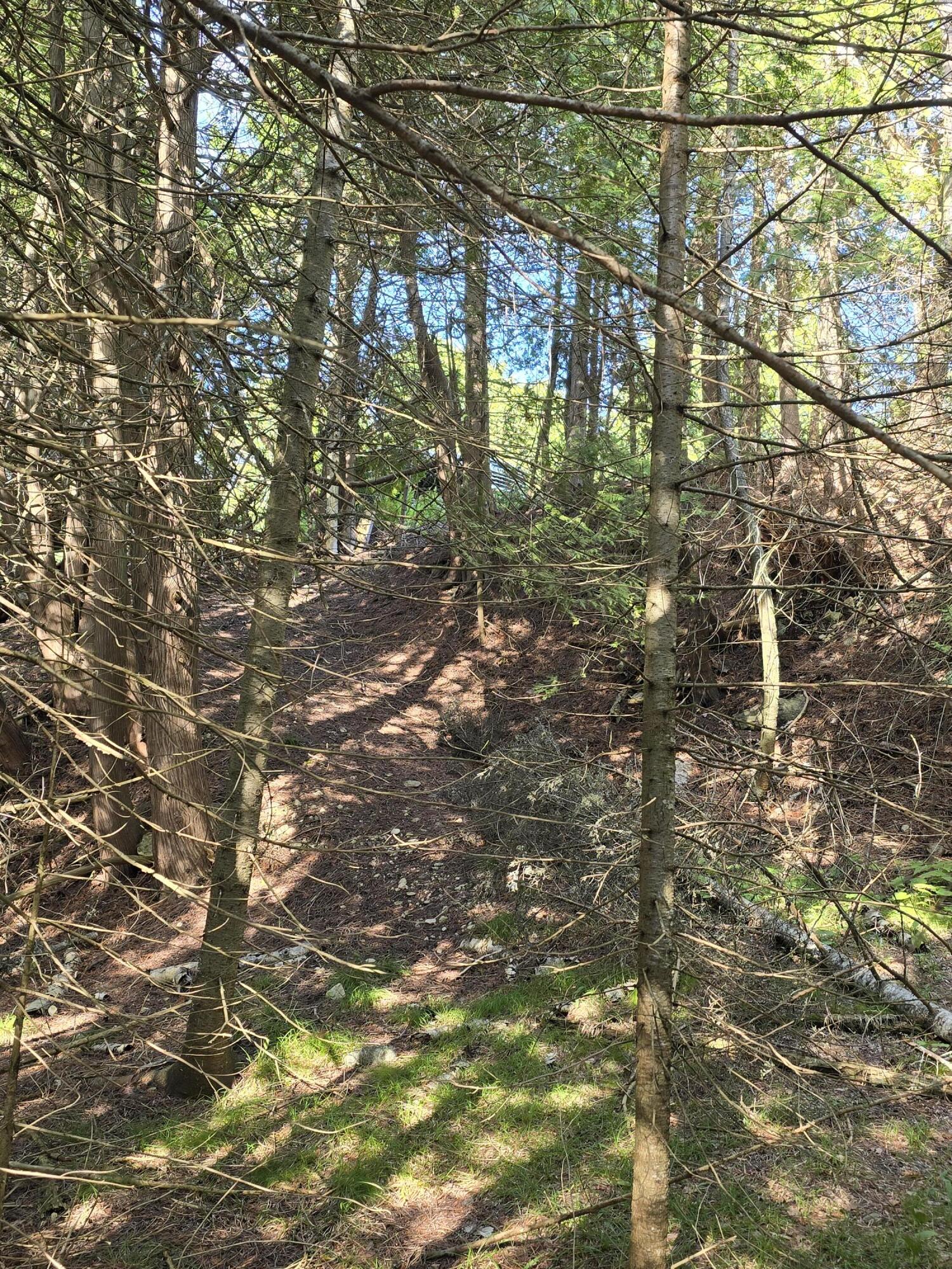 W Gros Cap Road, 2.83 Acres, St. Ignace