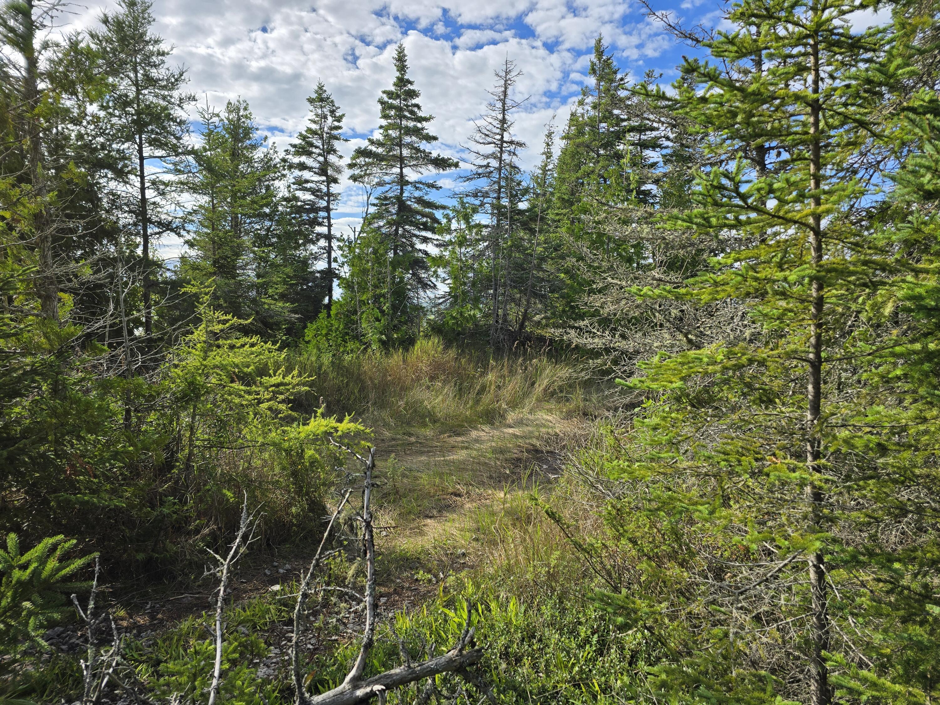 W Gros Cap Road, 2.83 Acres, St. Ignace