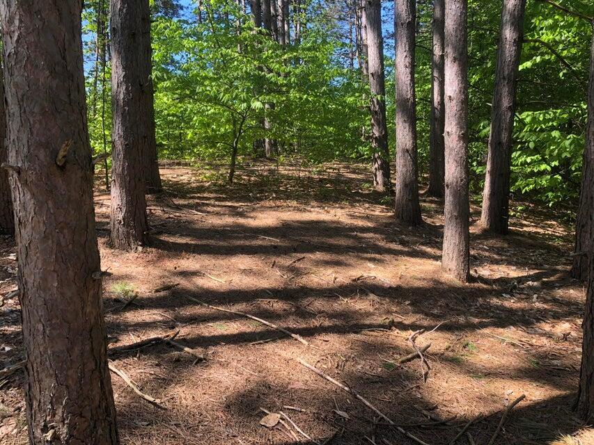 1975 &1995 Clubhouse Drive