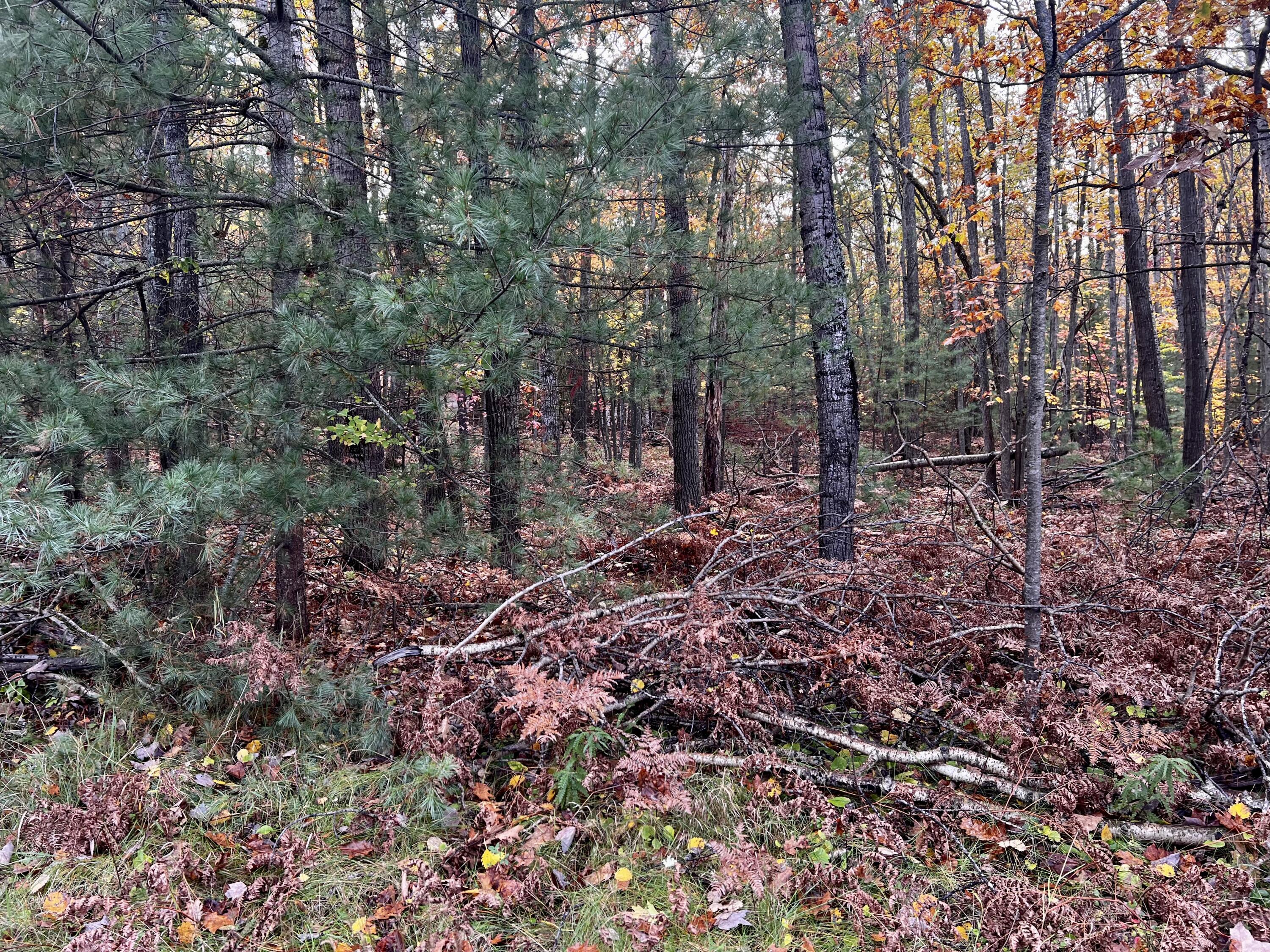 2534 E Mullett Lake Road