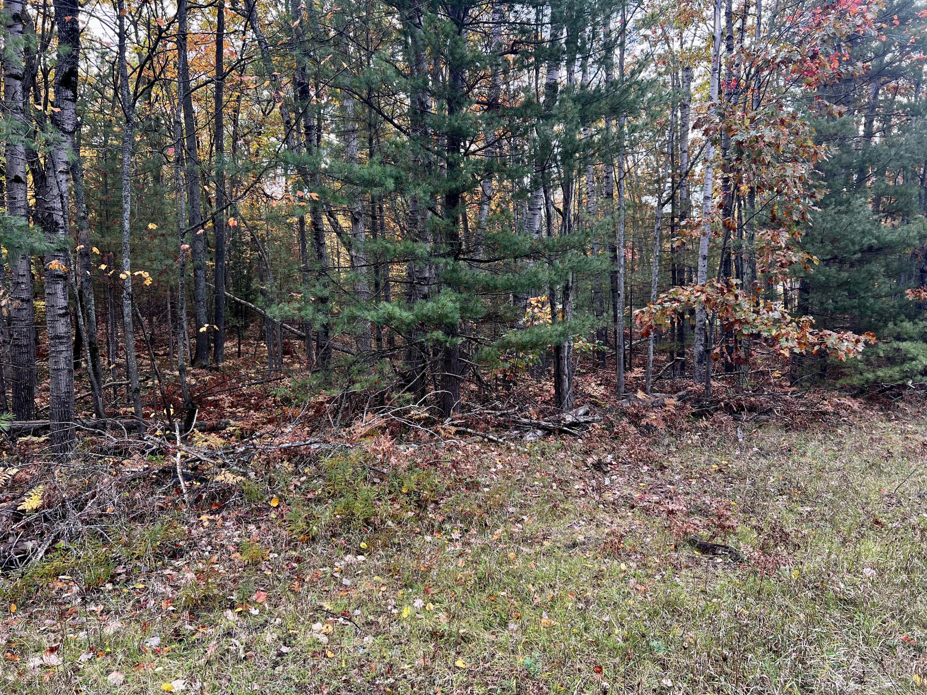 2534 E Mullett Lake Road