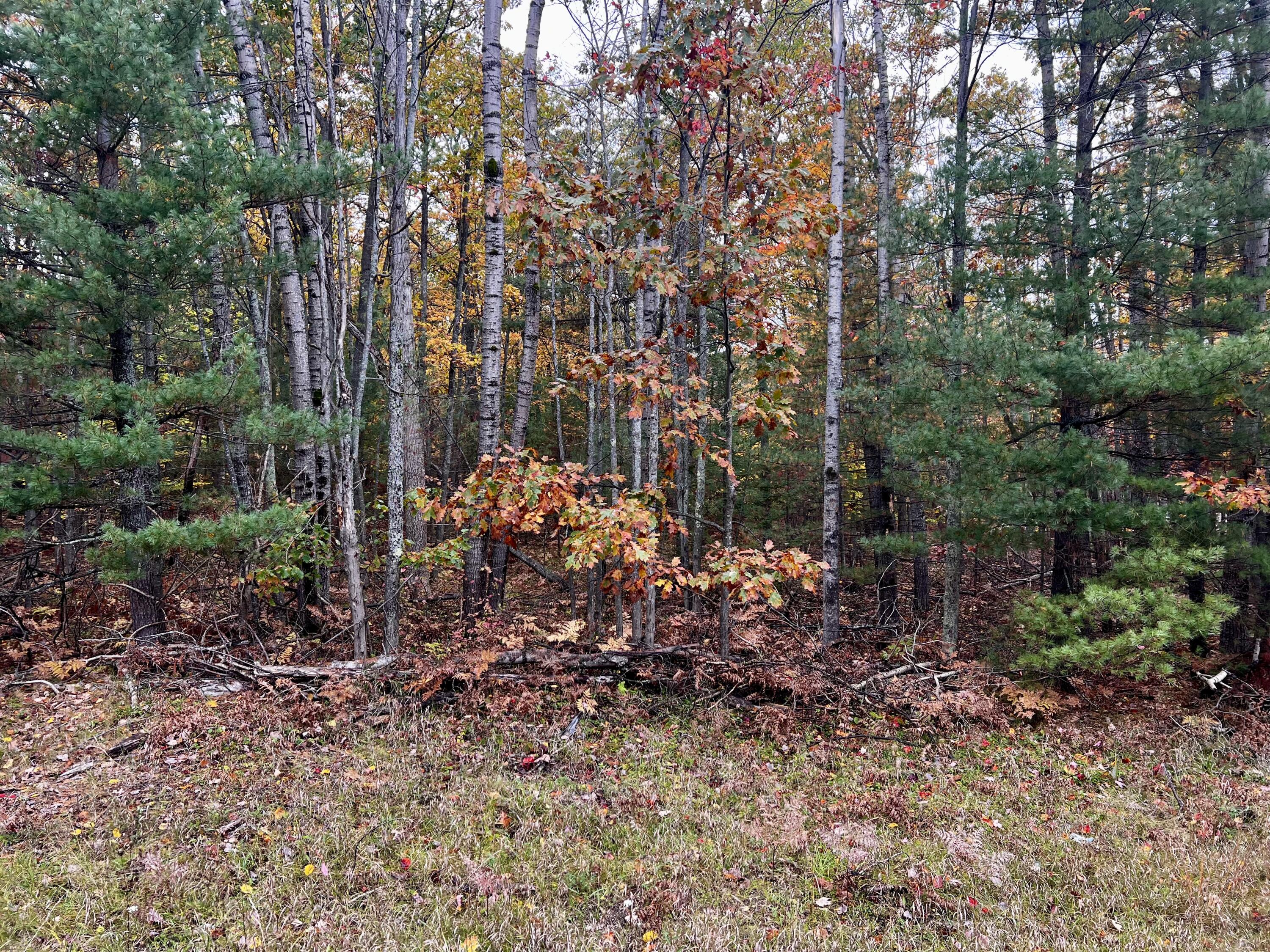 2534 E Mullett Lake Road